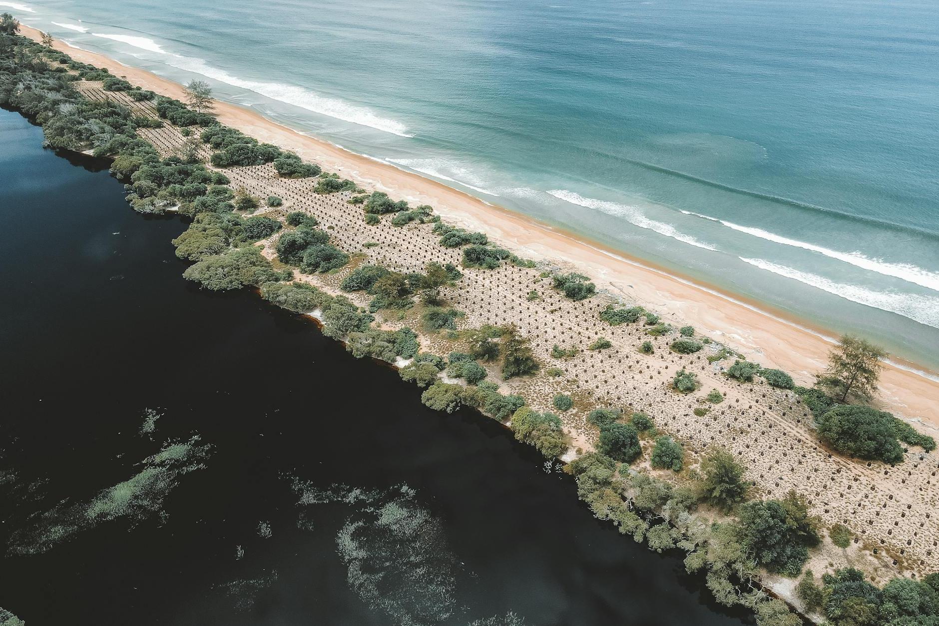 Aerial View of a Peninsula