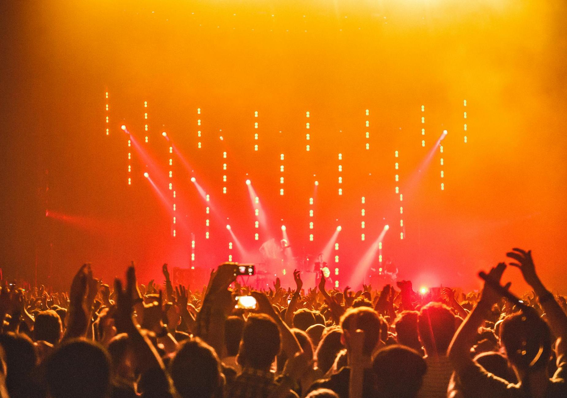 People Enjoying the Concert