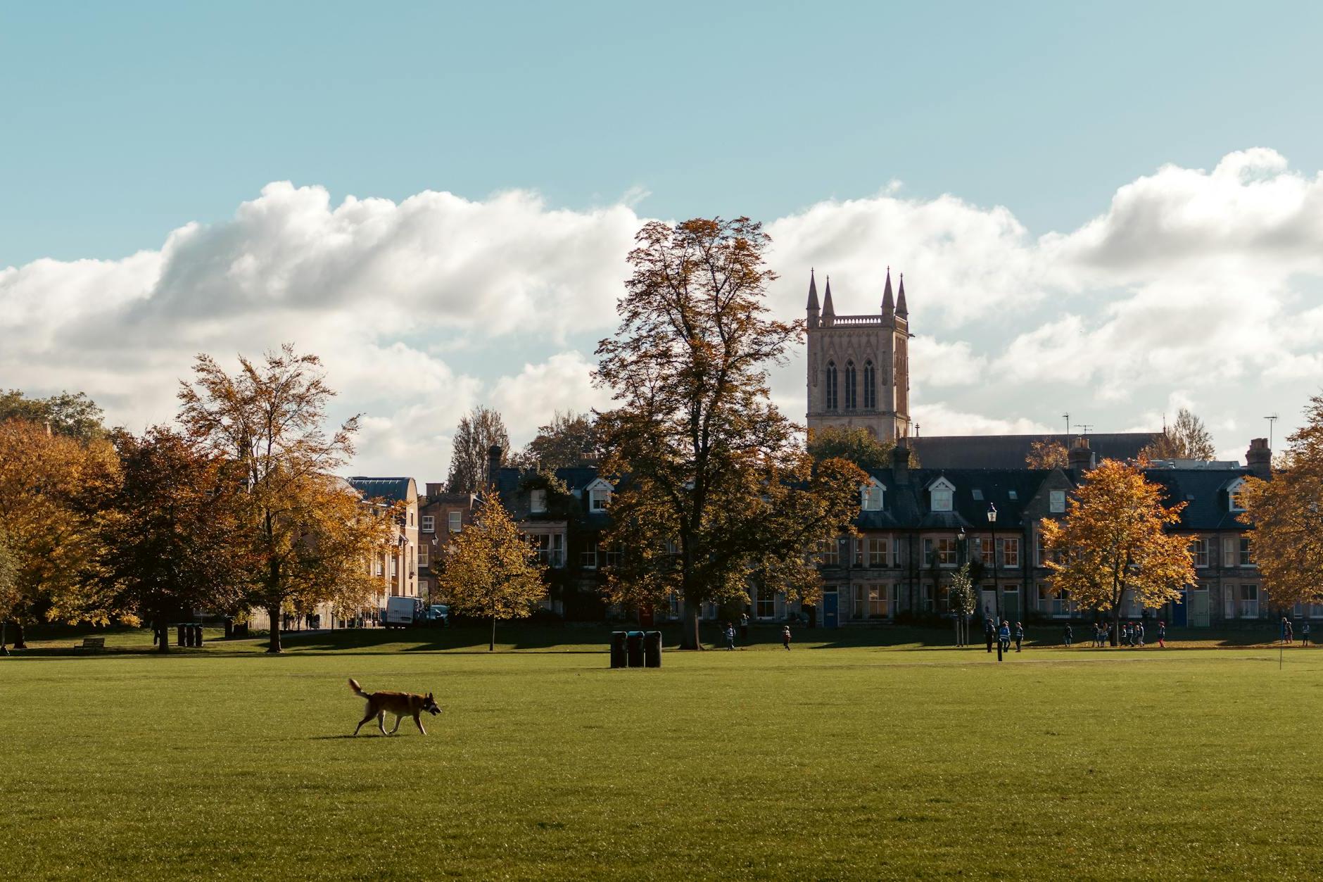 Cambridge University in Autumn