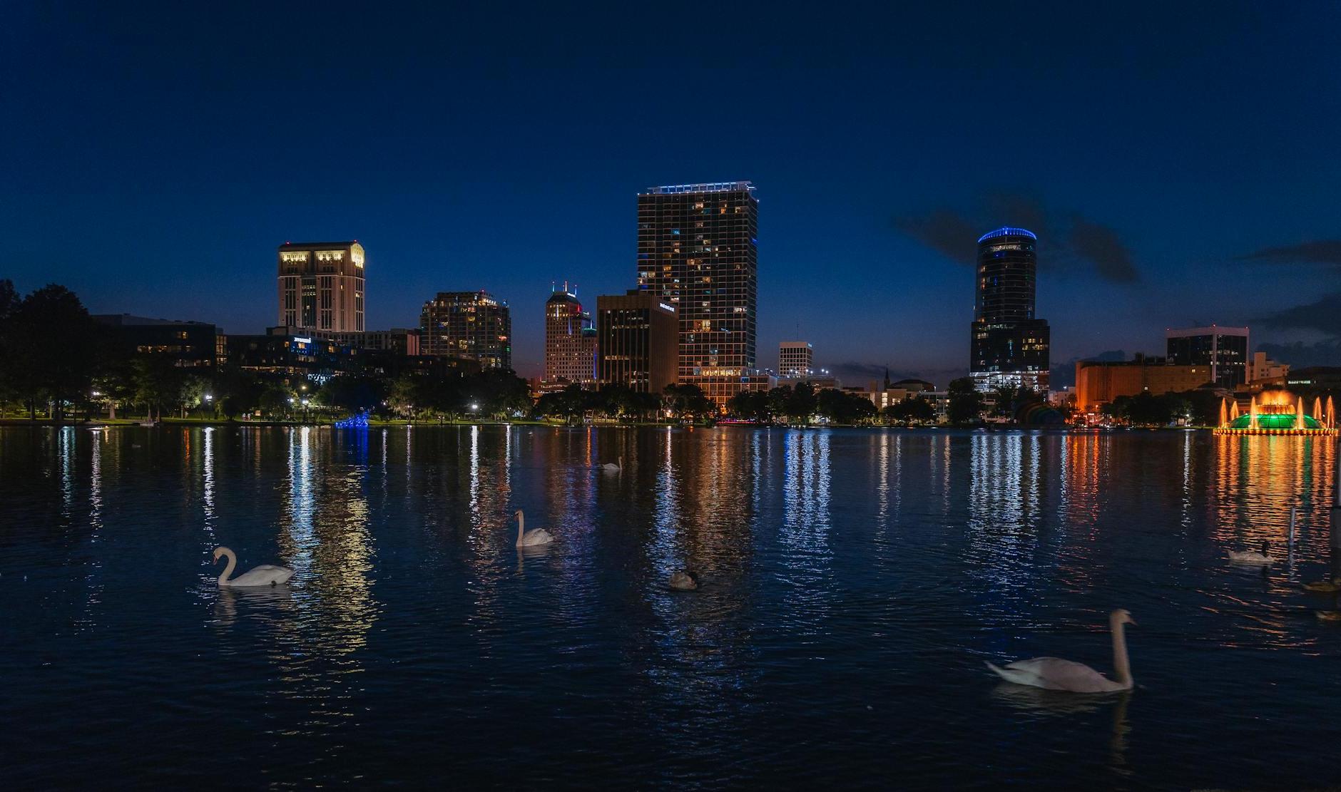 Swans in the Lake Eola Park at Night