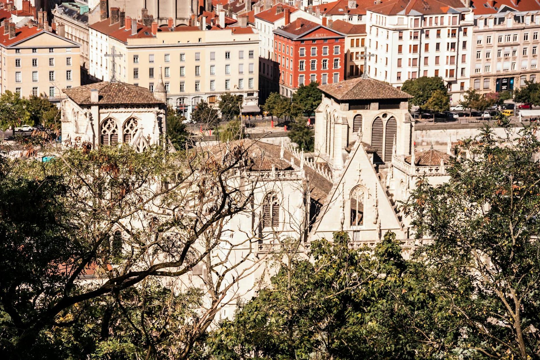 Cathedral of Saint-Jean-Baptiste in Lyon over the trees