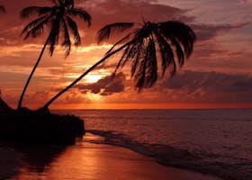 Top 10 Must-Visit Places in Playa Flamingo, Costa Rica