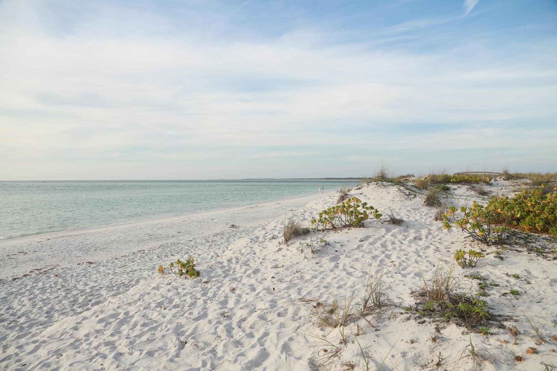 White Sand Beach Under Clear Sky