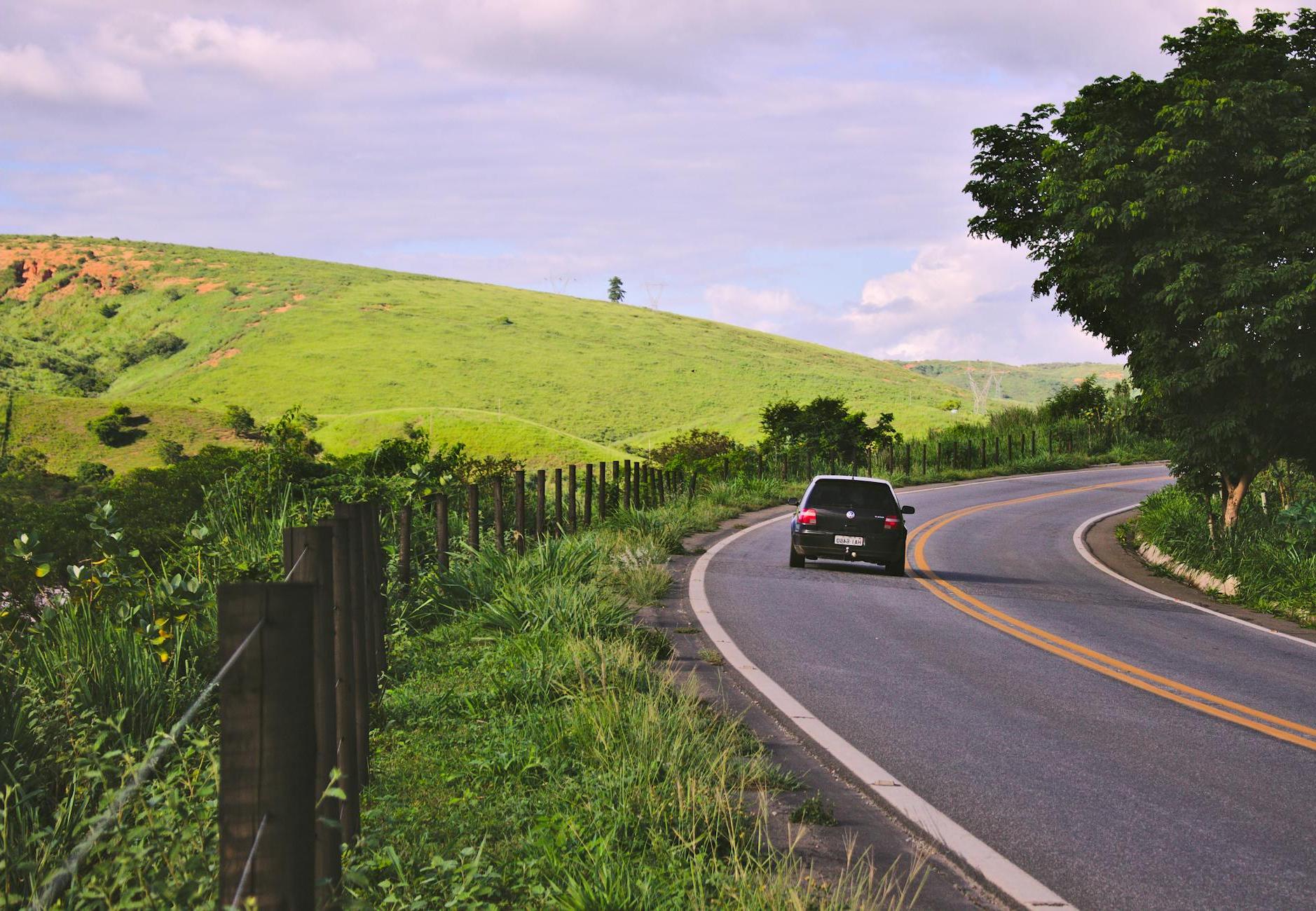 Black Vehicle on Road Near Green Leaf Plants