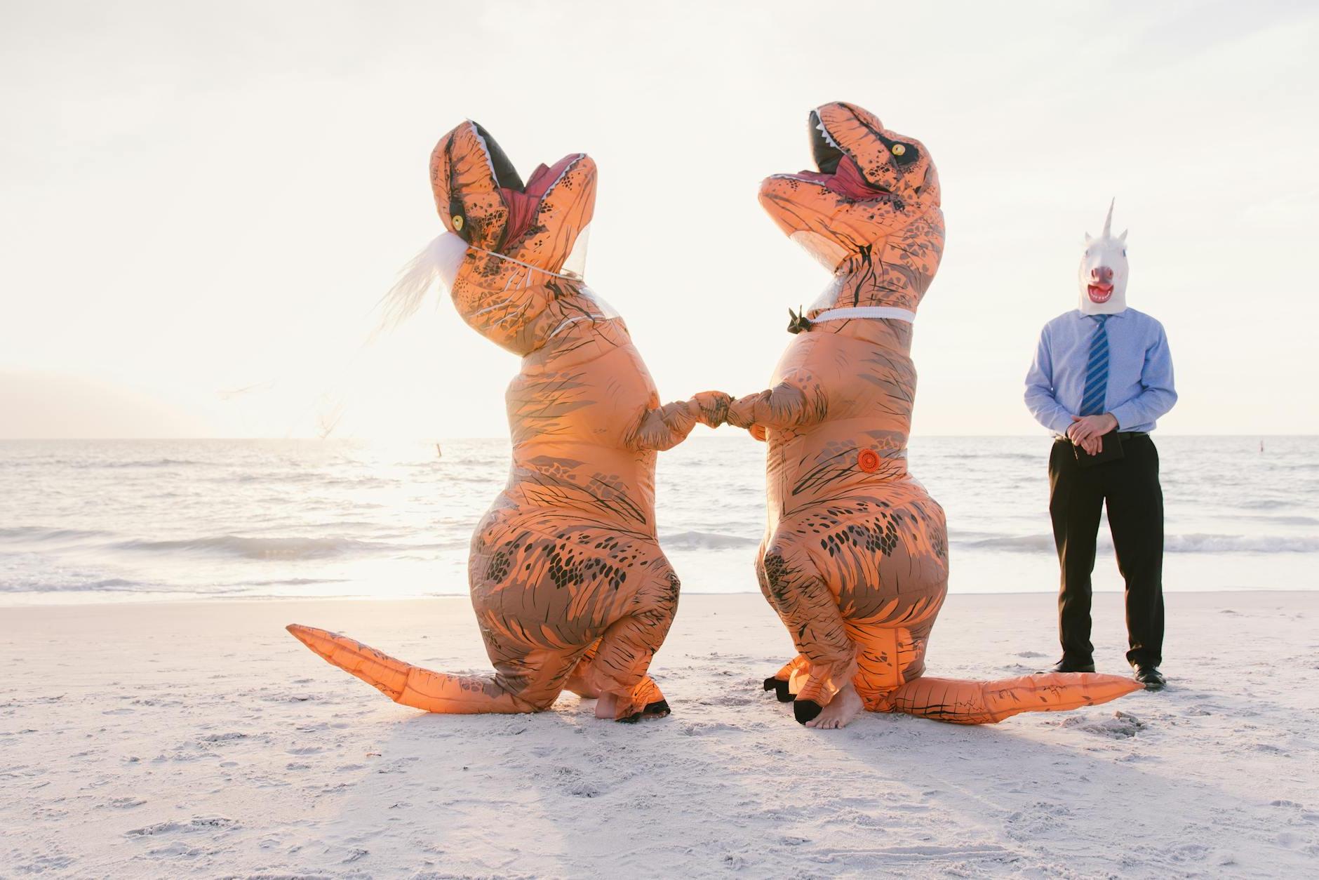 Man in Unicorn Mask with Bride and Groom in Dinosaur Costumes at Beach