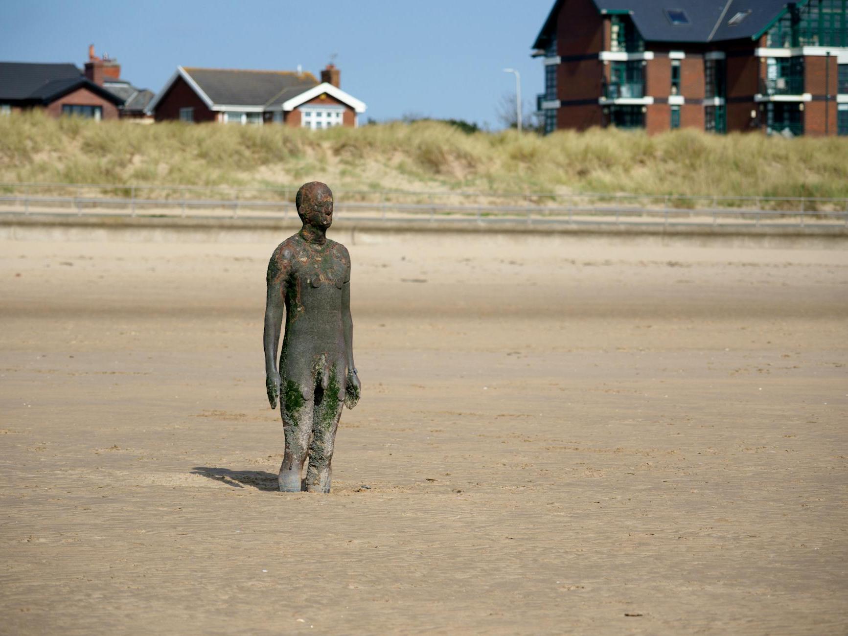 A Statue on the Beach