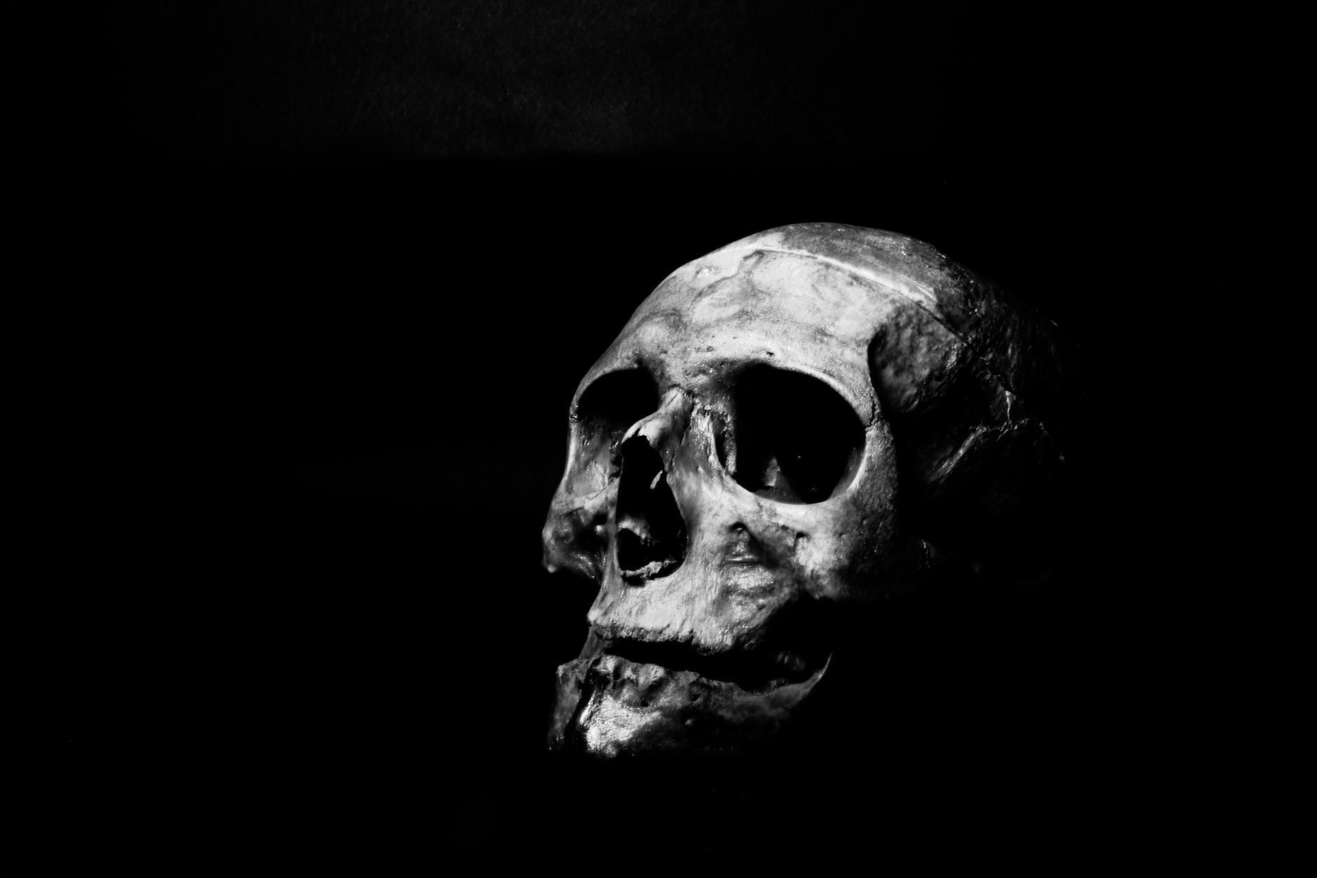 Grayscale Photography of Human Skull