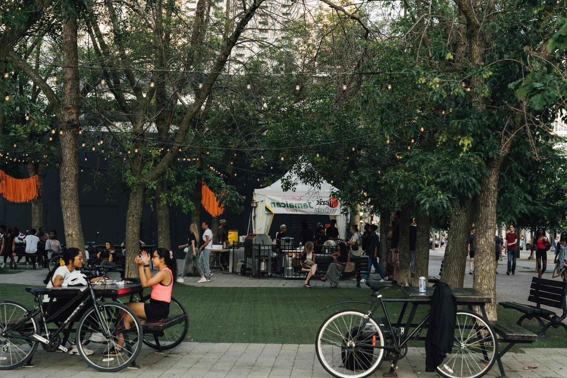 People Sitting on Bench Near Trees