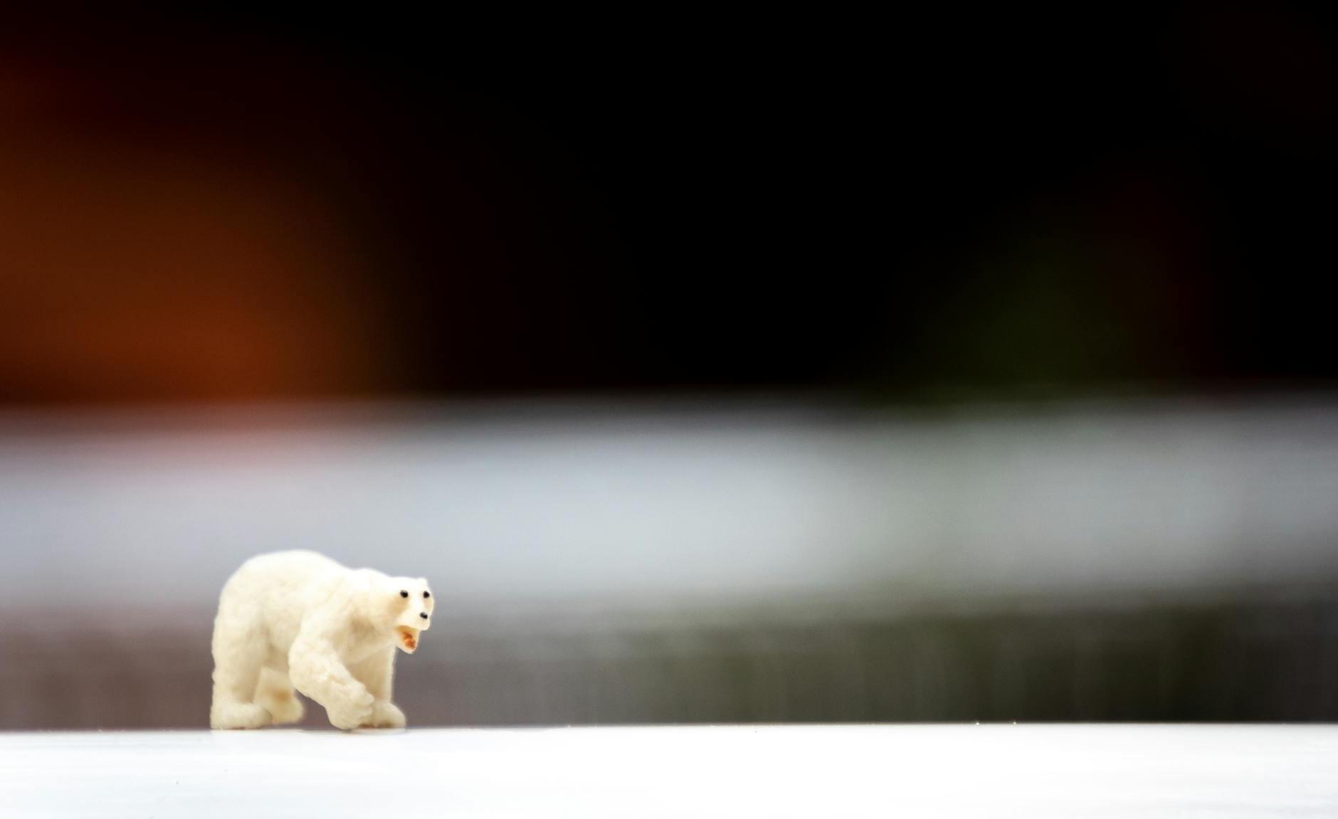 Depth of Field Photo of Polar Bear Figurine