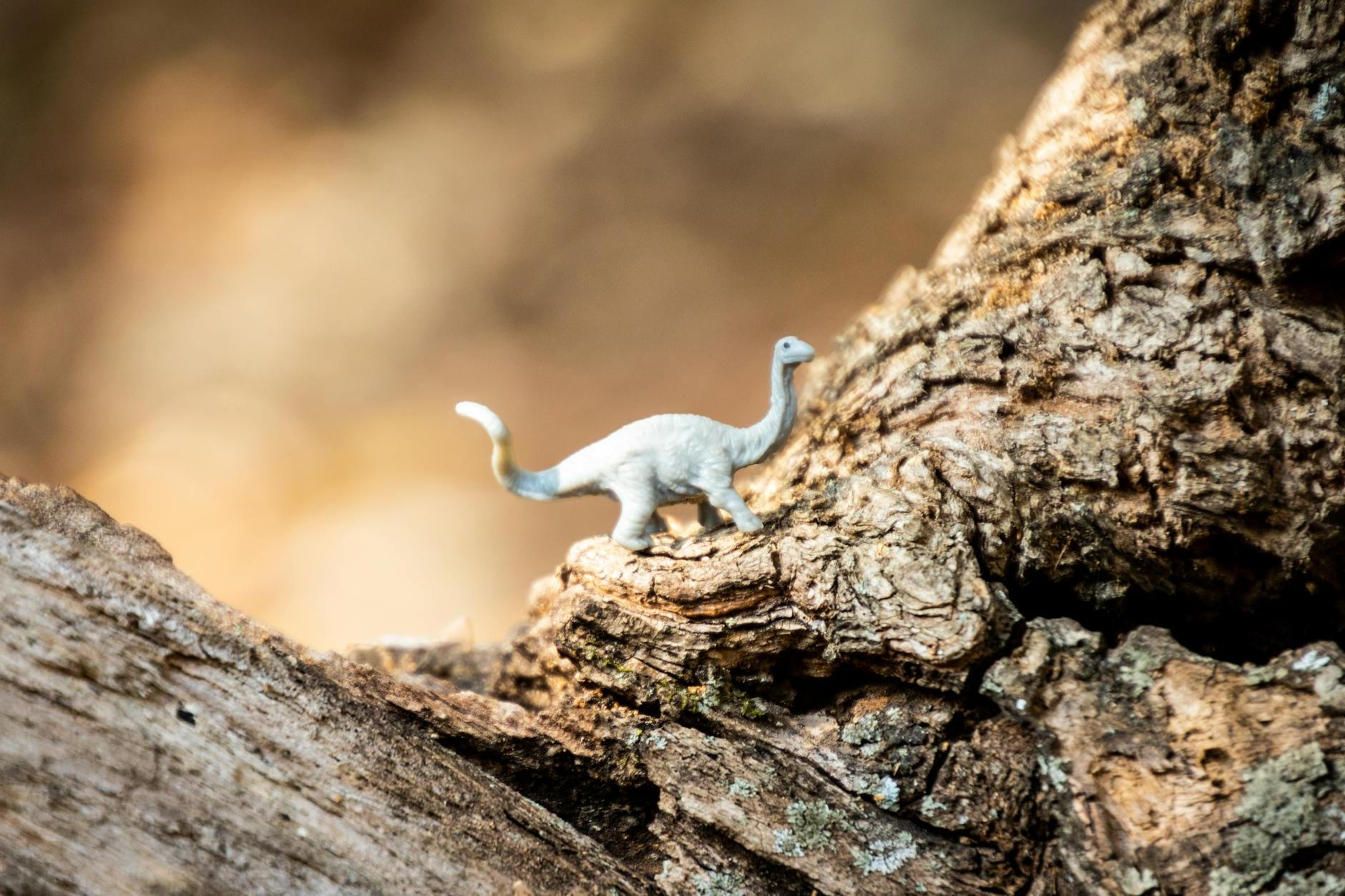 Gray Dinosaur Toy on Rock