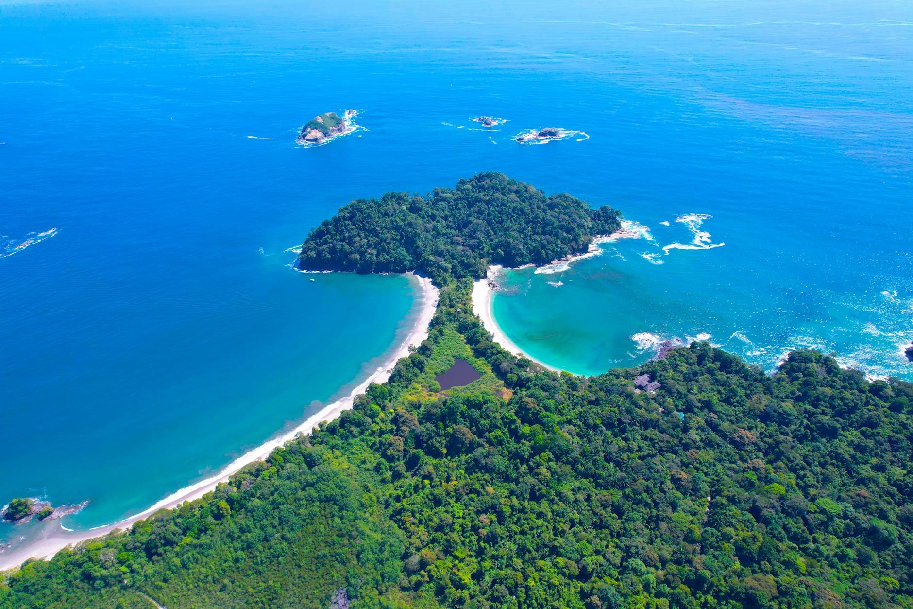 Green Trees Near Blue Sea