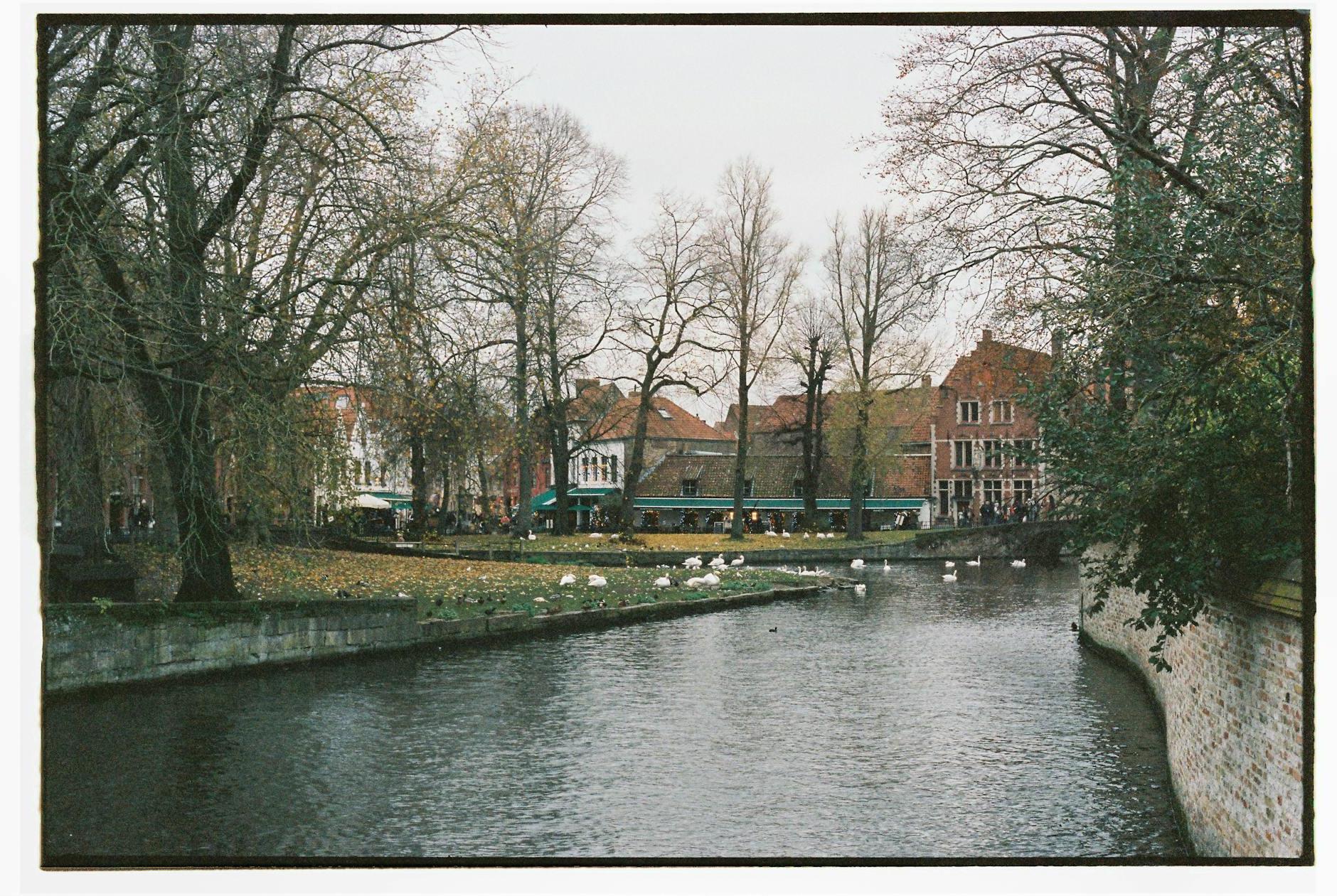 Park in Bruges, Belgium