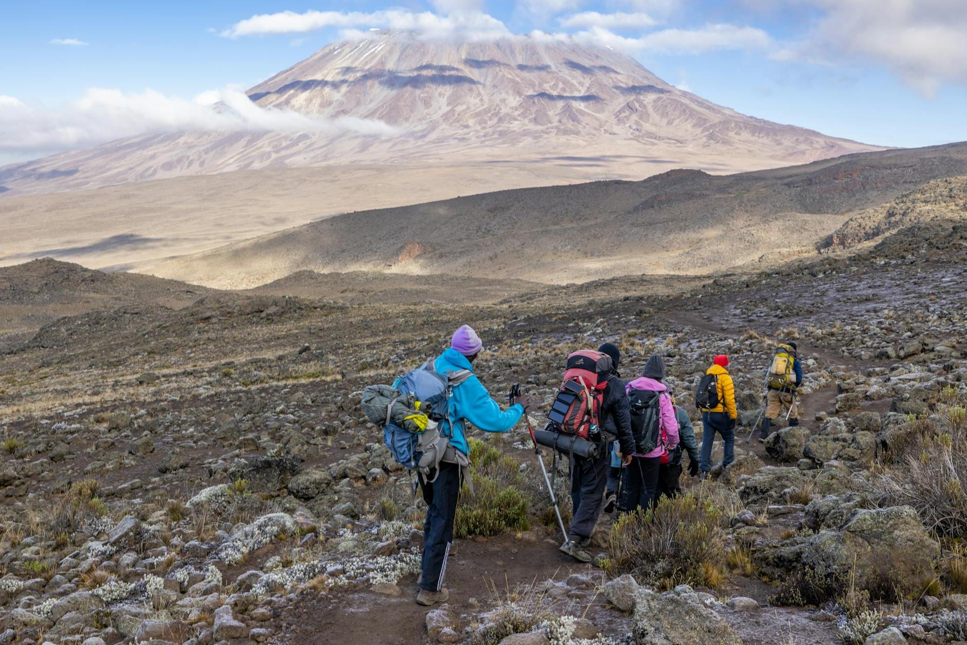 People in a Travel on the Mount Kilimanjaro
