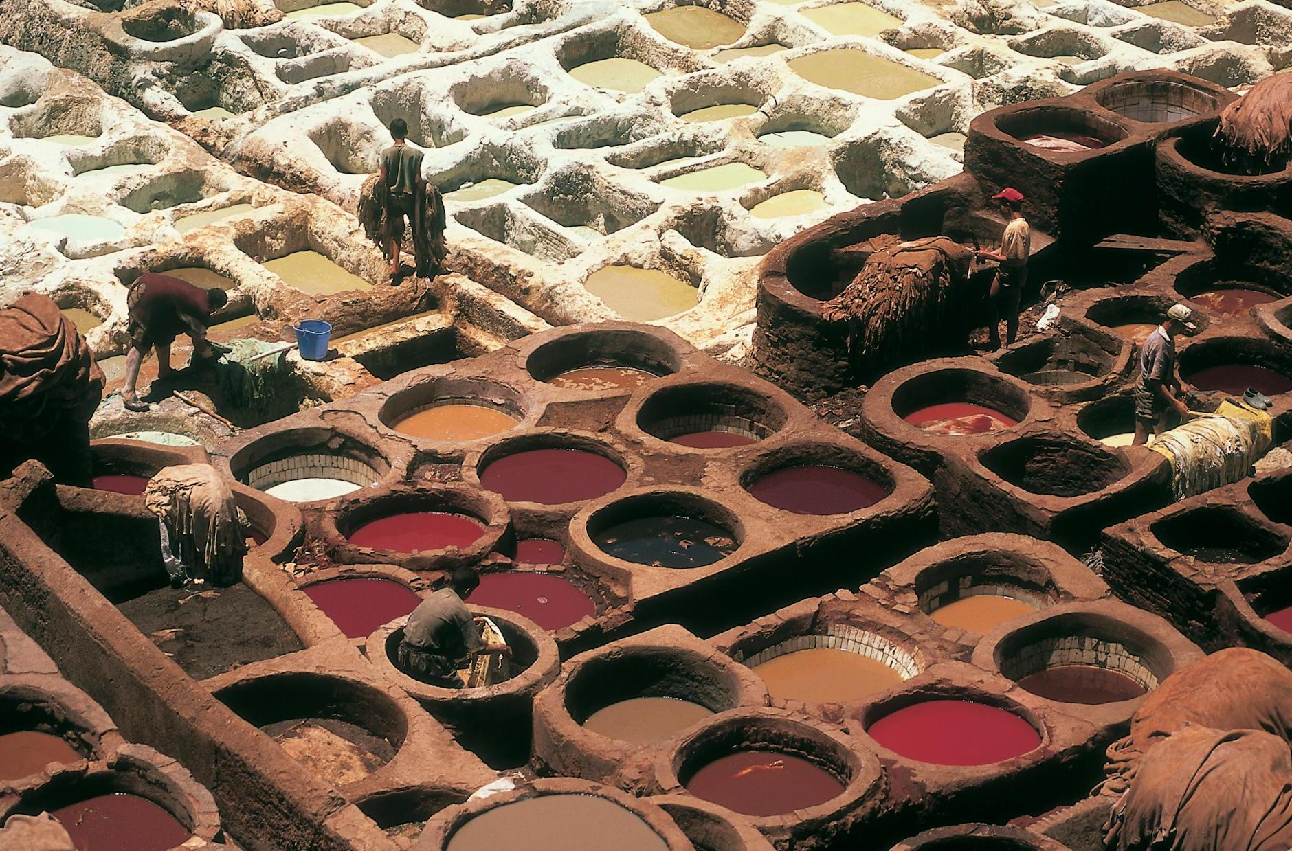 Chouara Tannery in Fez, Morocco