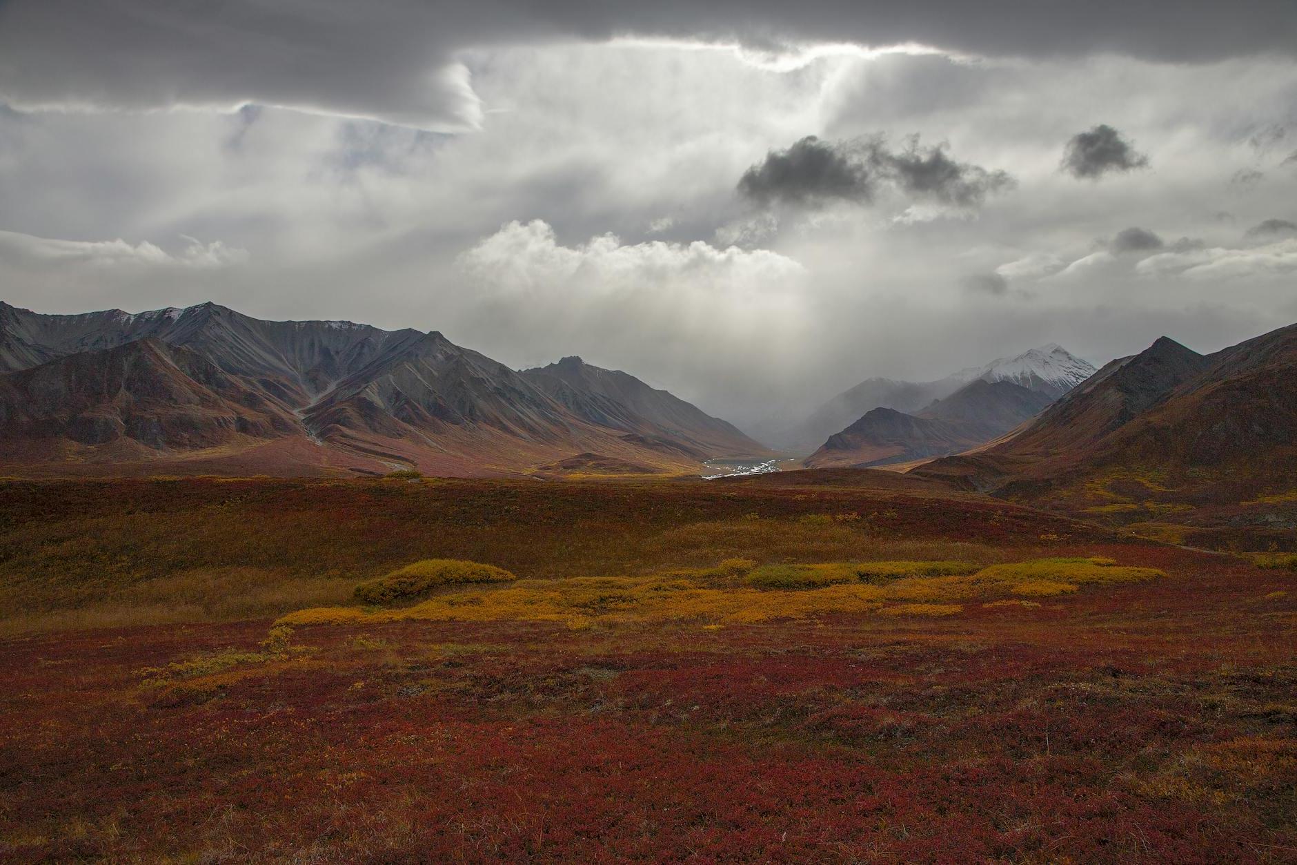 Top 10 Must-Visit Spots in Healy Within Denali National Park