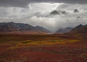 Top 10 Must-Visit Spots in Healy Within Denali National Park