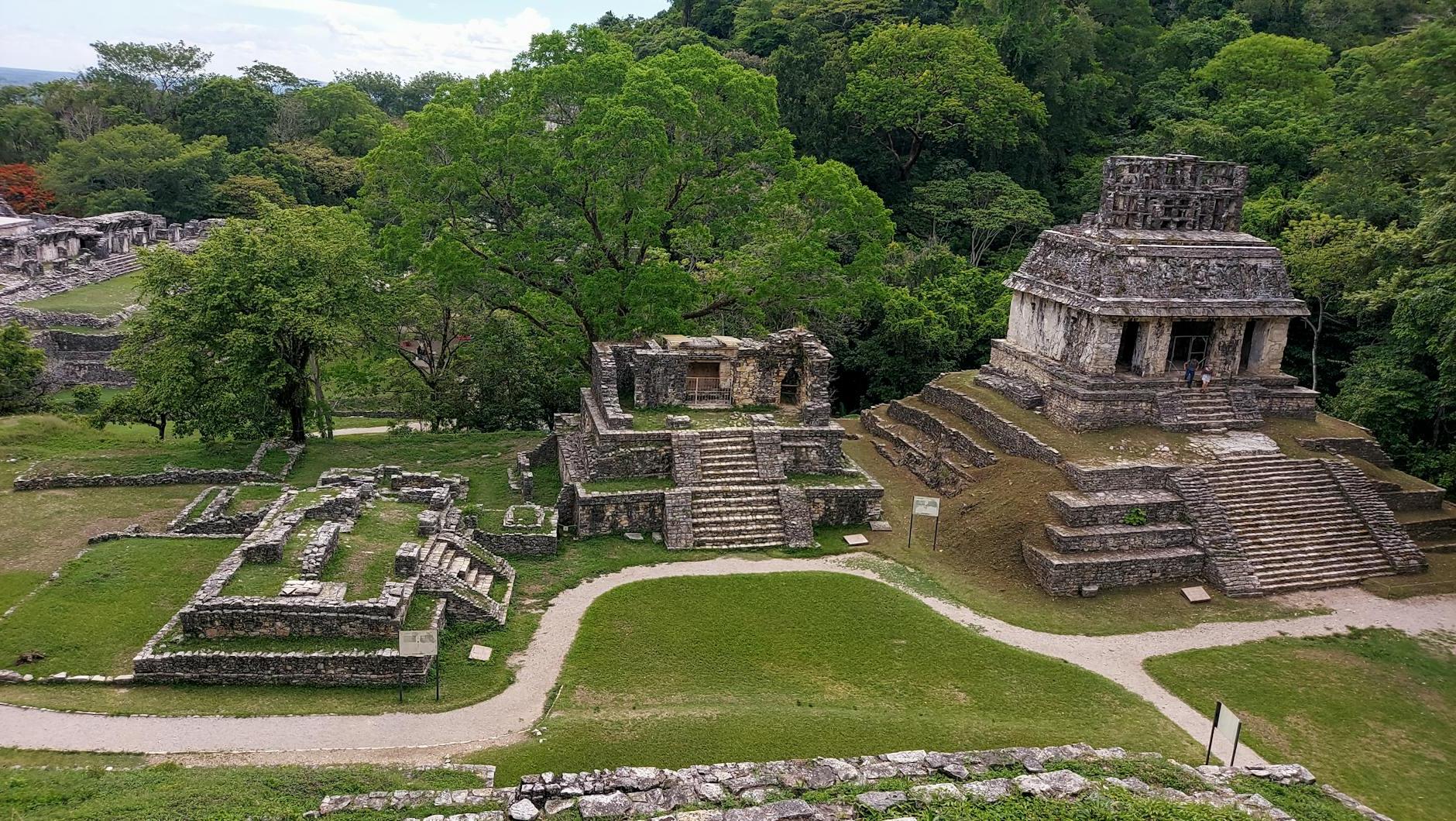 Mayan Pyramids in Jungle