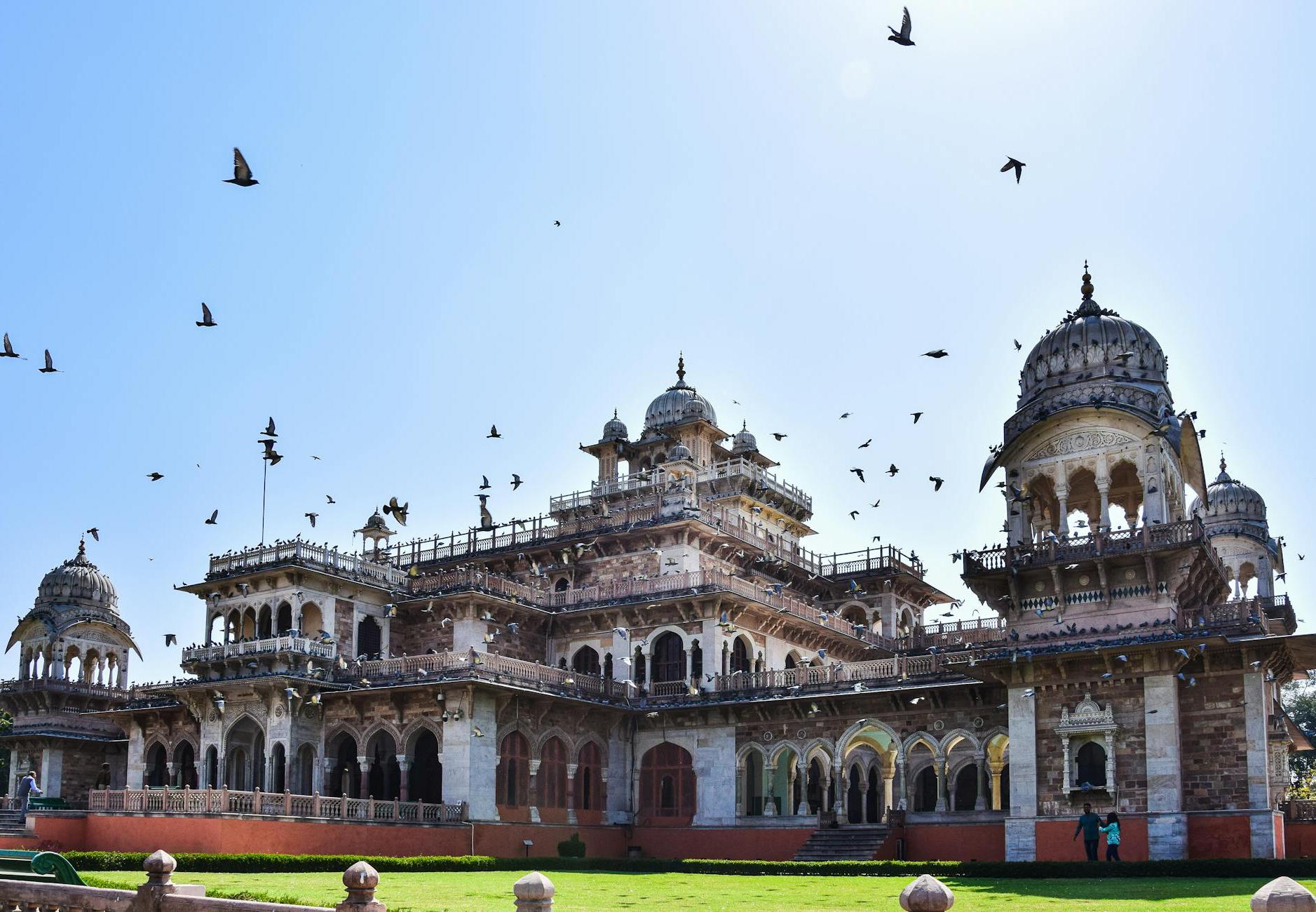 Pigeons Flying over Albert Hall Museum in Jaipur