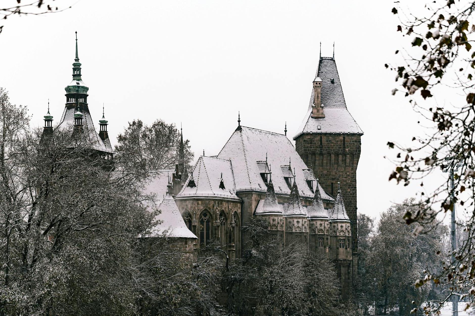 View of Vajdahunyad Castle in Budapest, Hungary in Winter 