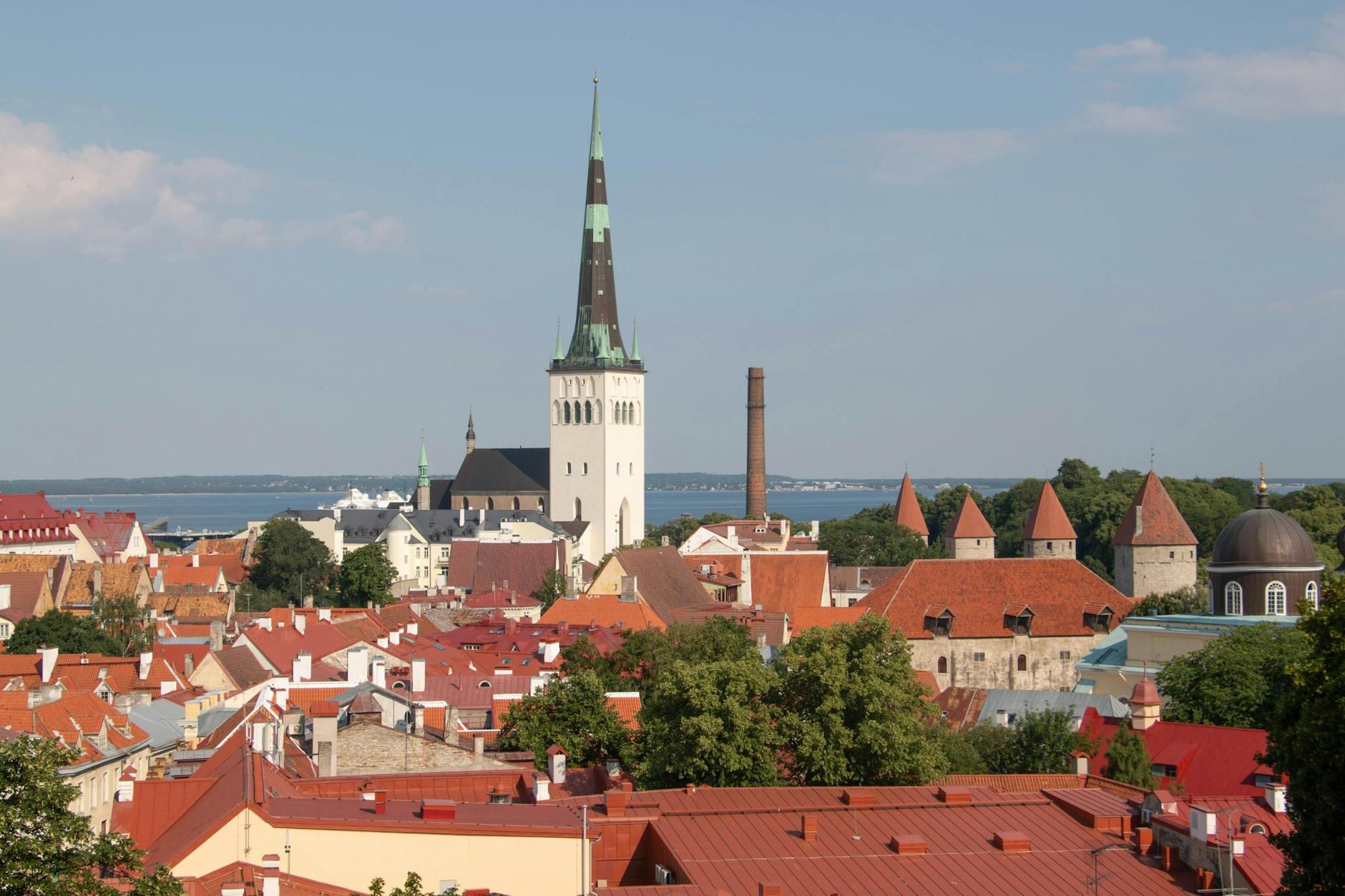 Roofs of Buildings in Tallinn