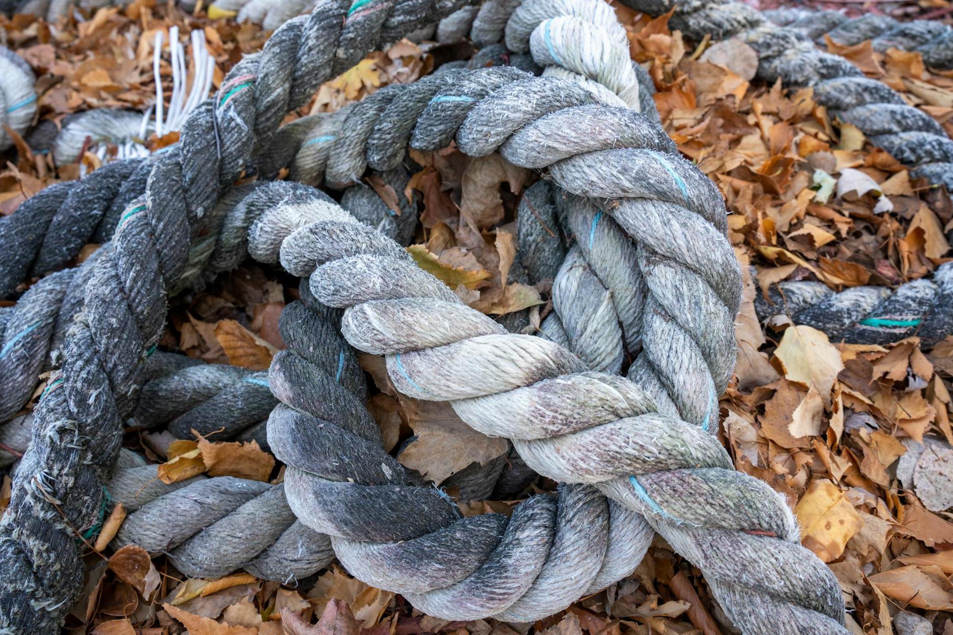 A pile of rope on the ground with leaves