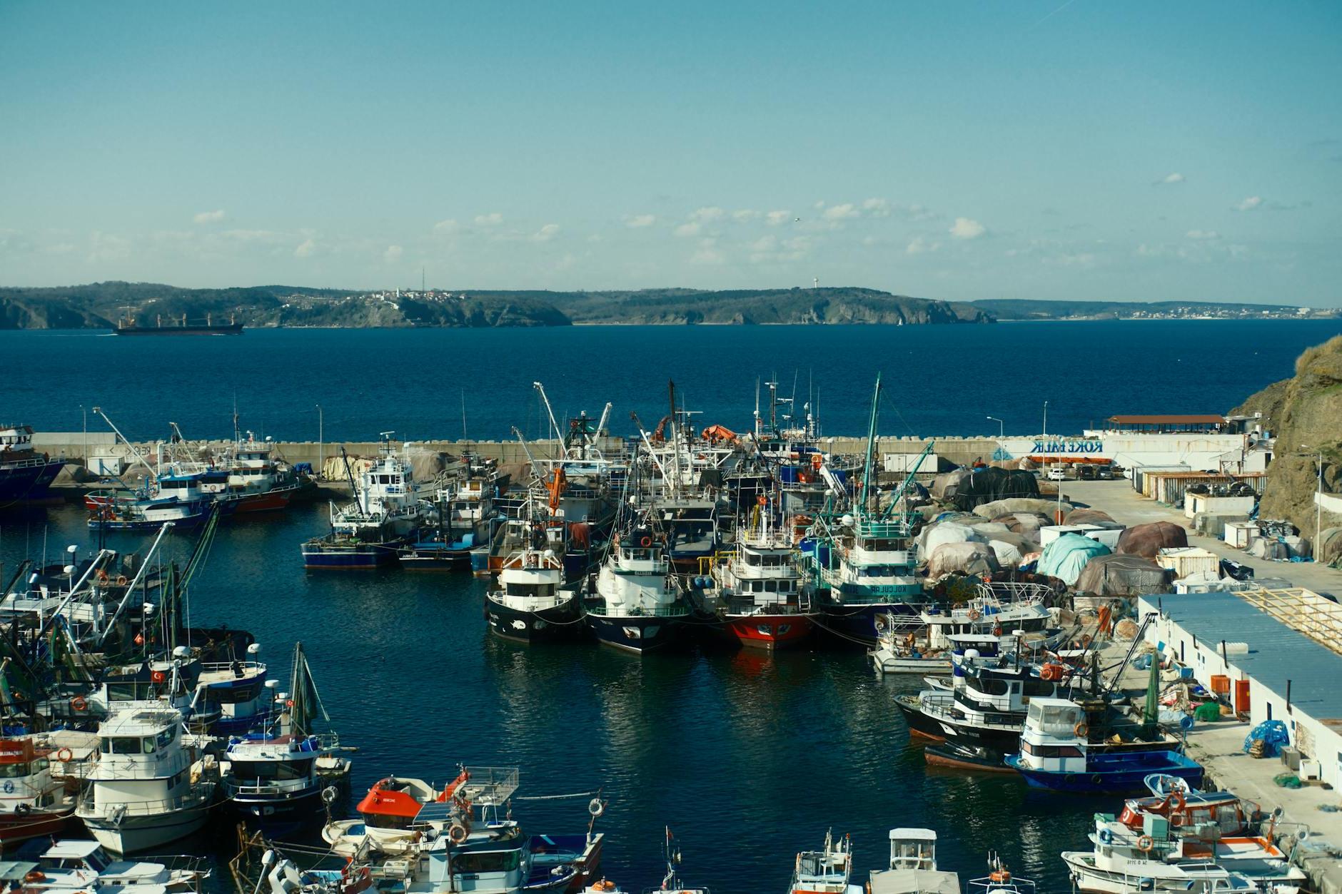 Fishing Boats in Port