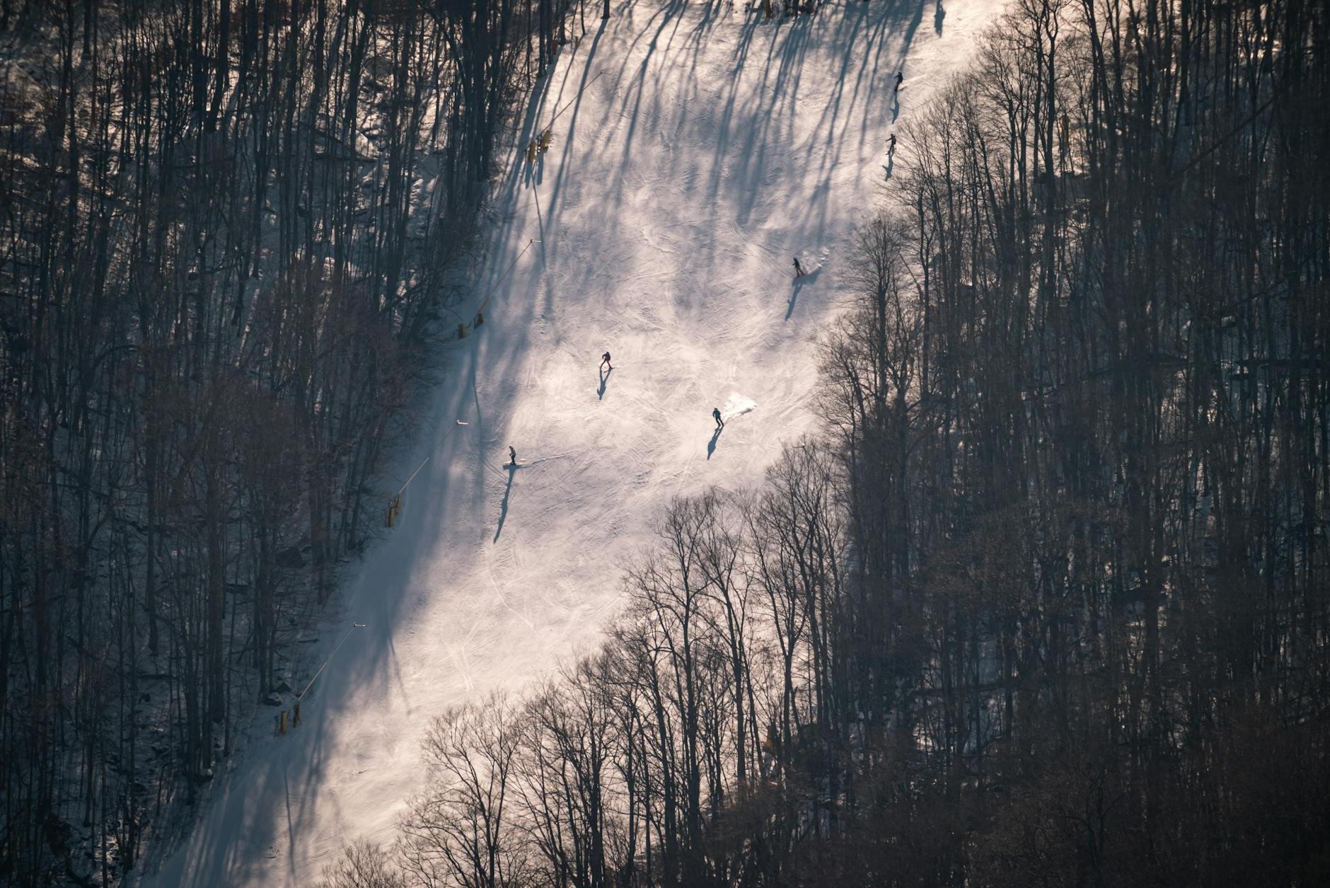 A group of people skiing down a hill in the snow