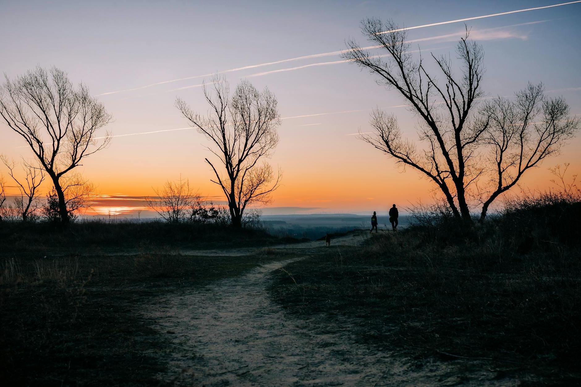 Two people walking down a path at sunset