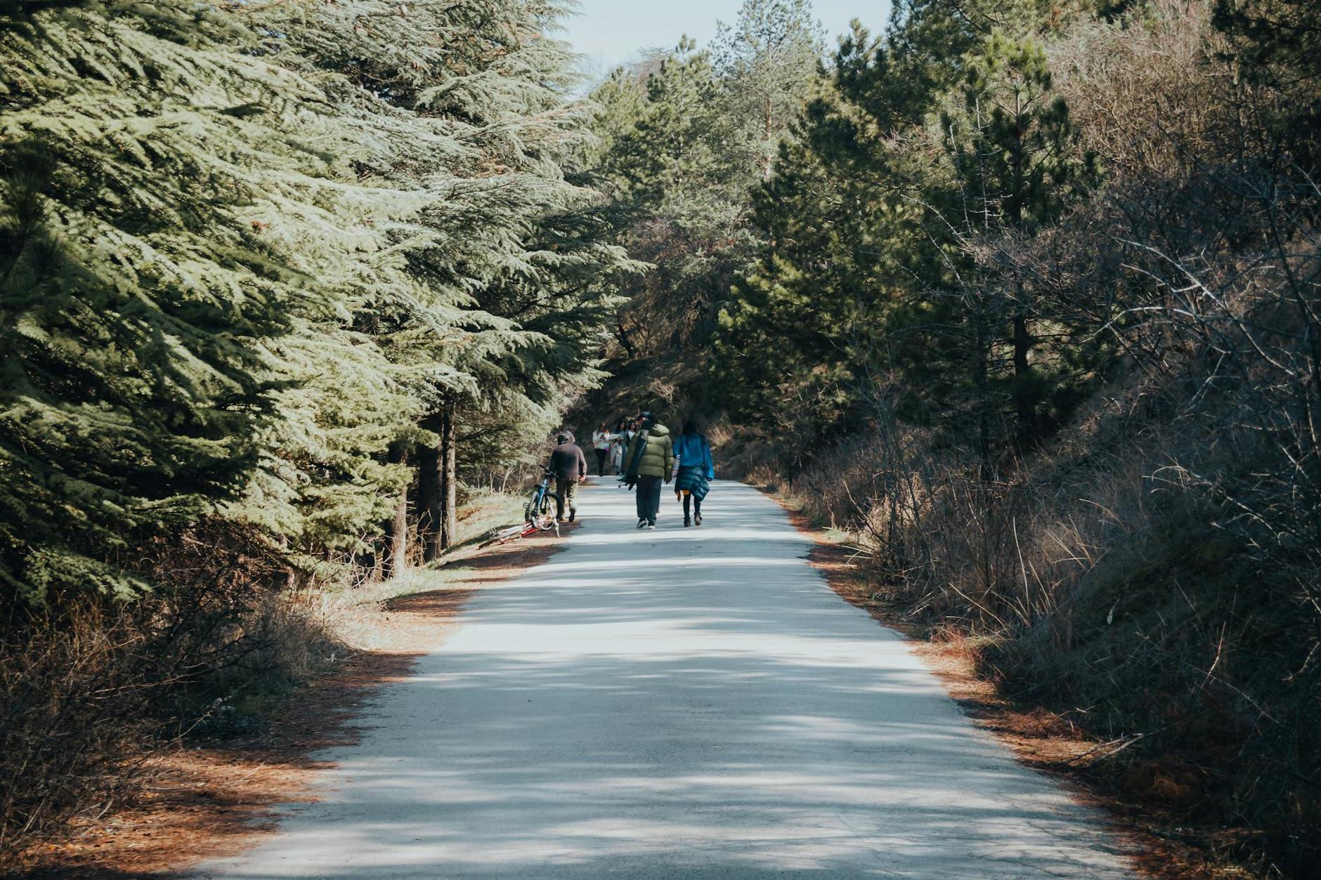 A group of people walking down a road in the woods