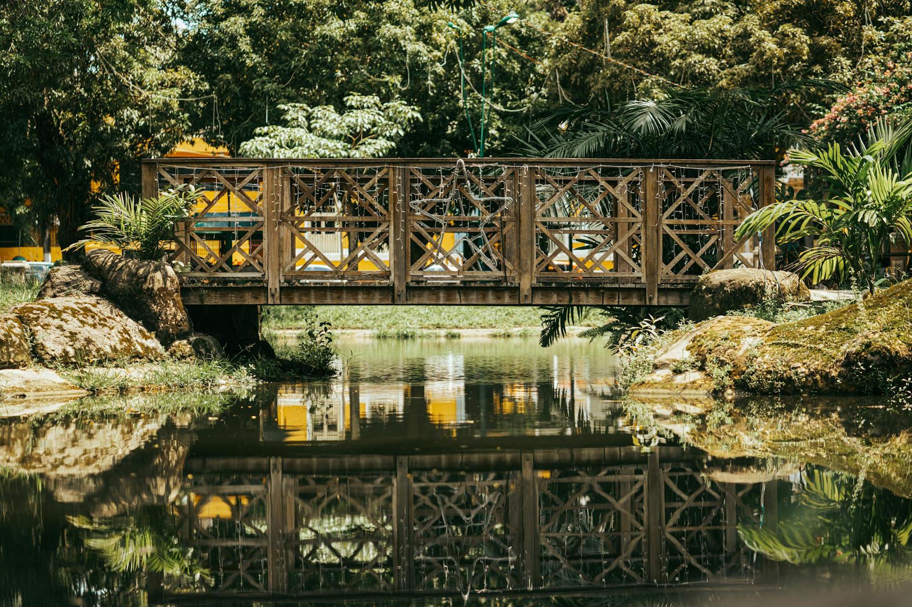 A wooden bridge over a pond with trees and plants