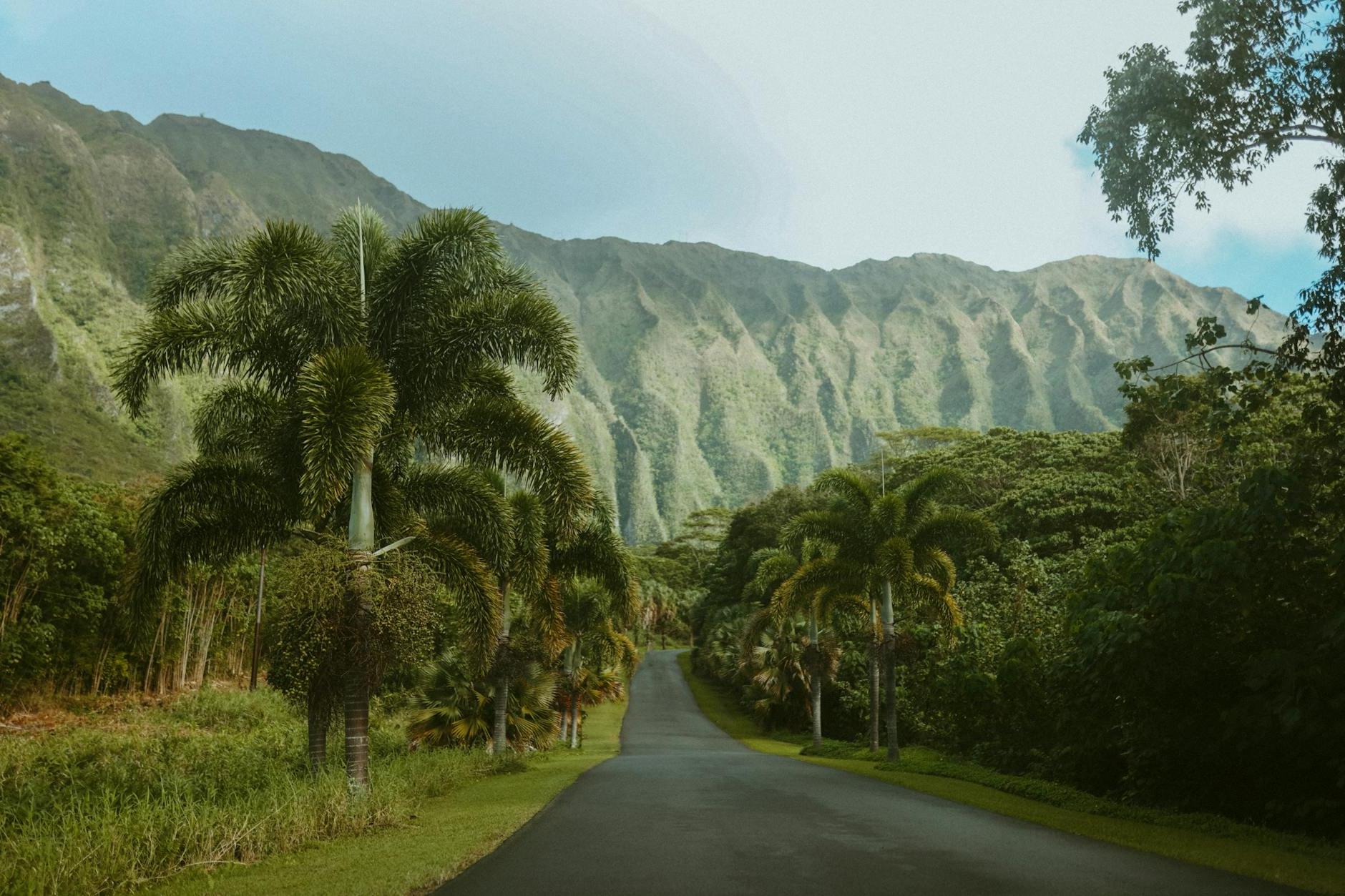 Asphalt Road on Oahu Island