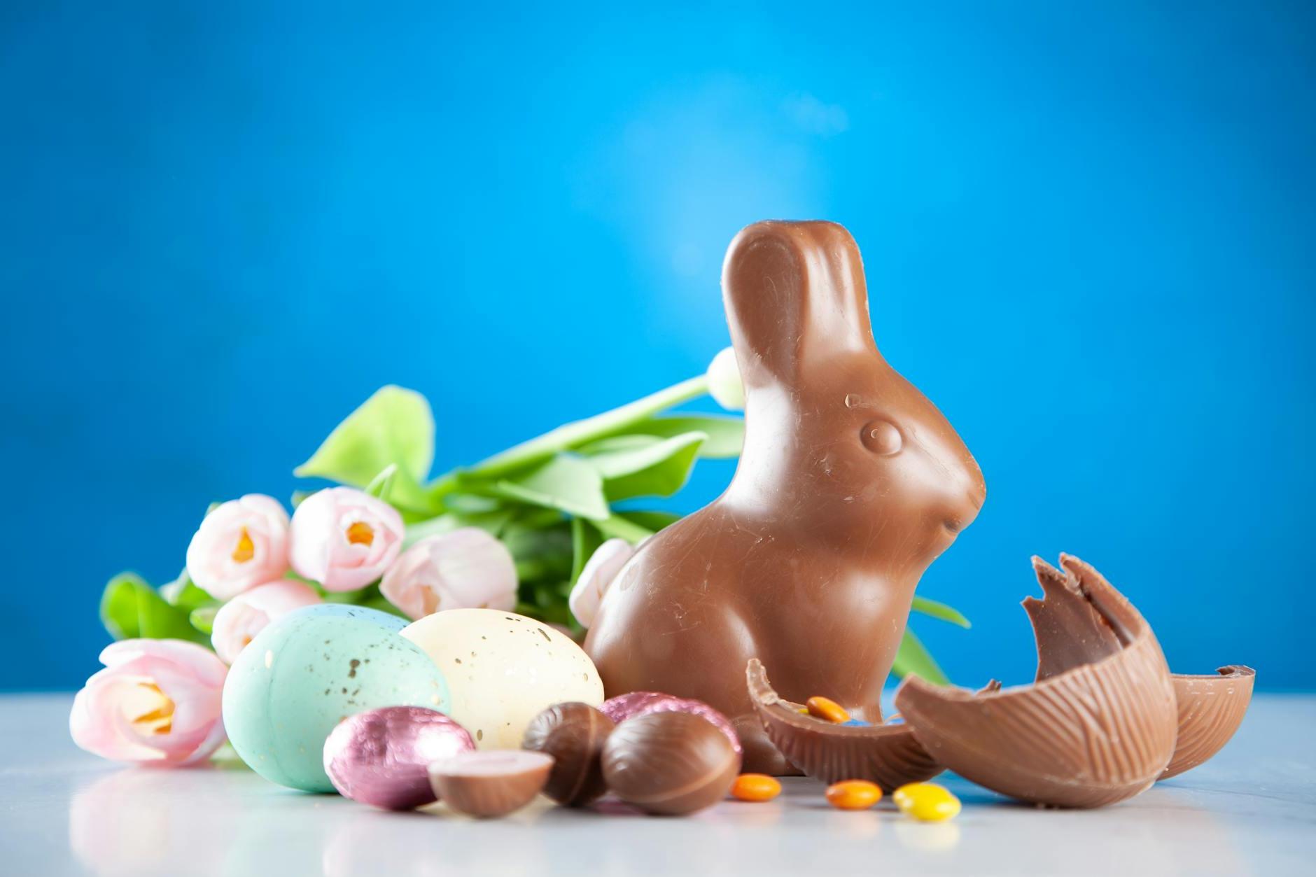 Rabbit Chocolate