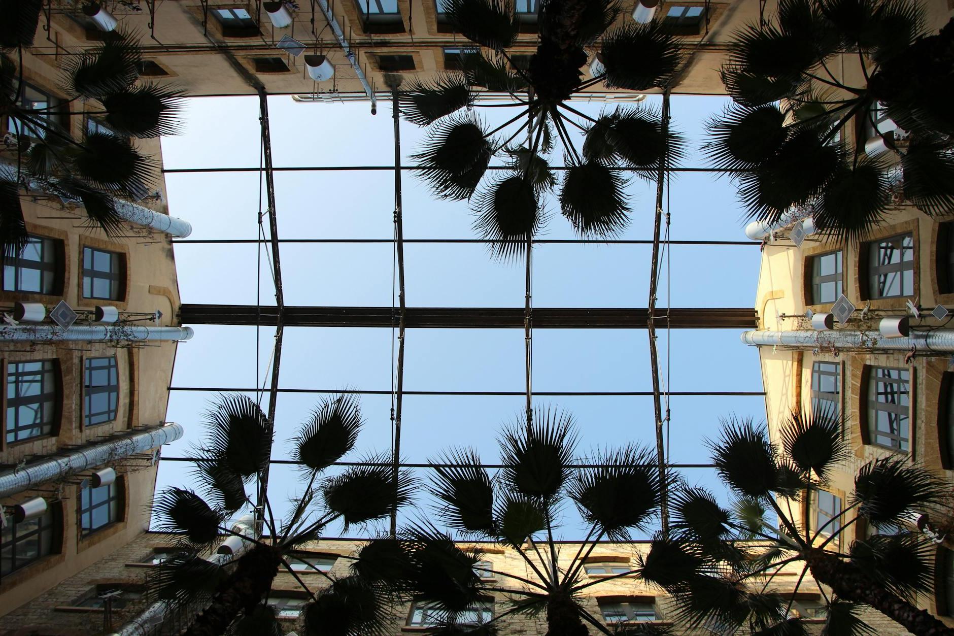 Palm Trees and Glass Ceiling in Les Docks Village Shopping Mall in Marseille