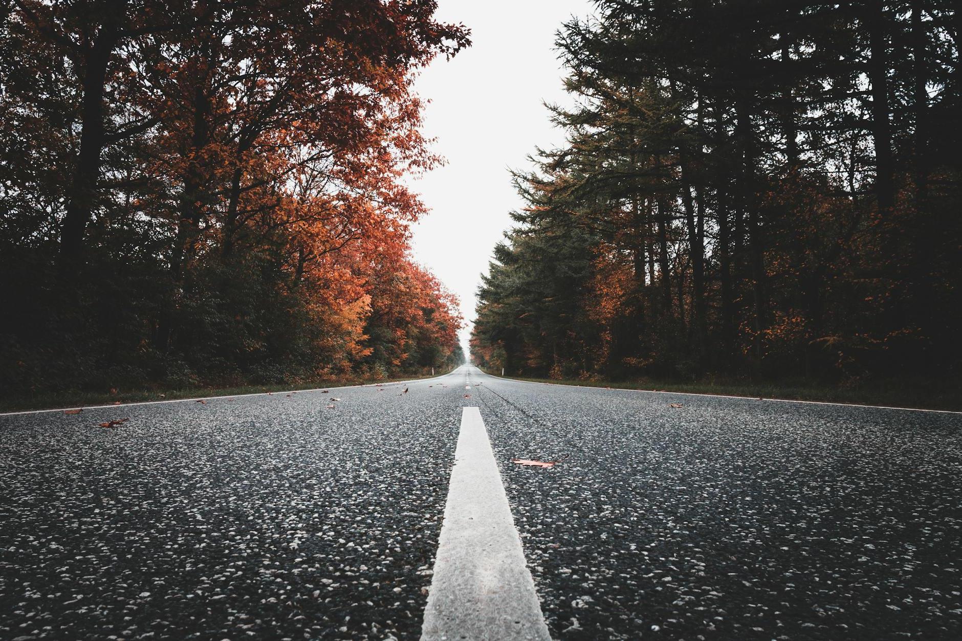 Photo of Road During Daytime