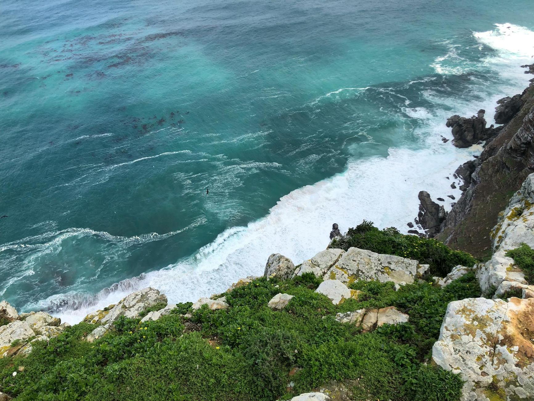 High Angle Photo of Beach