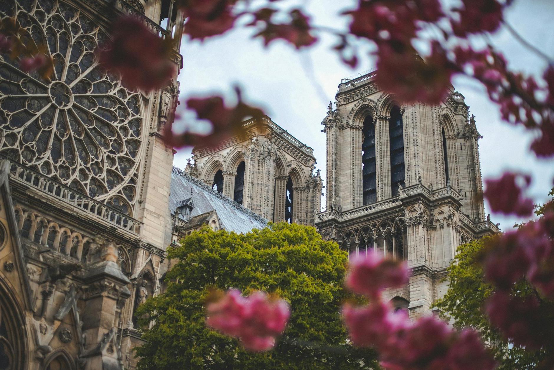 Low-Angle Photo of Notre Dame