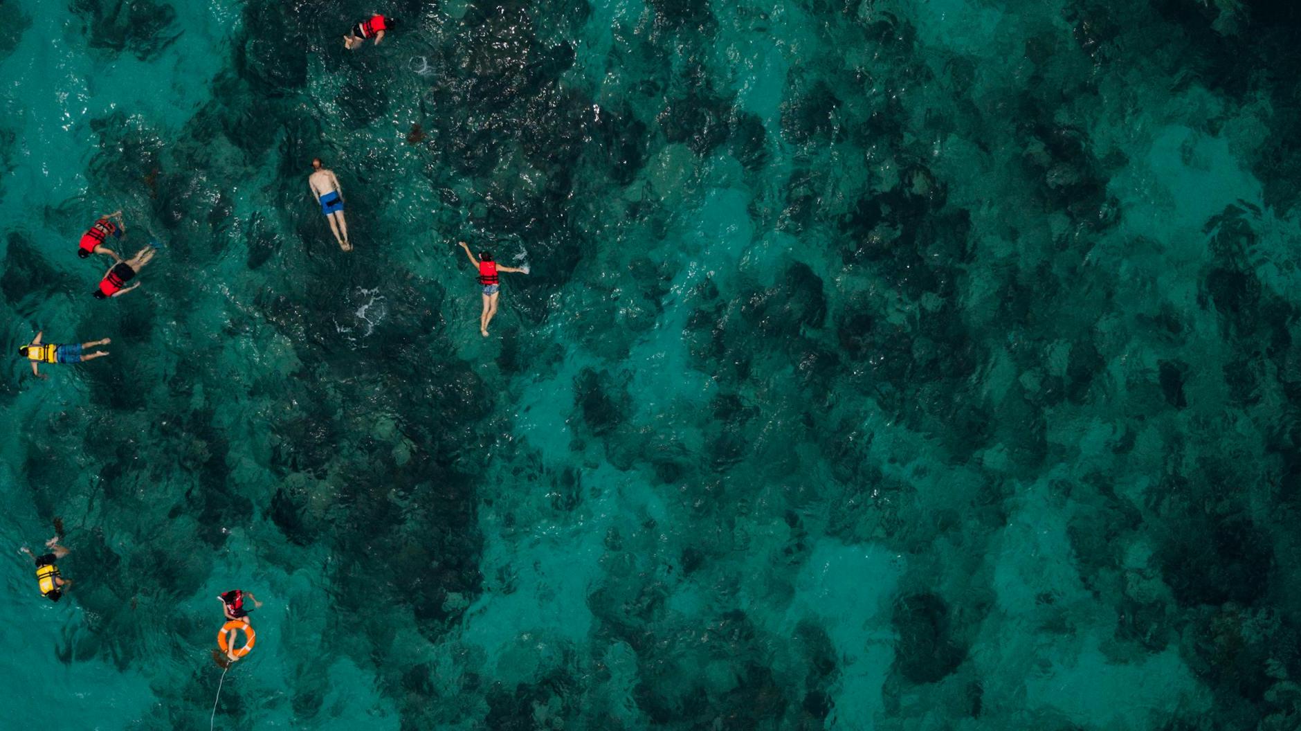 People Snorkeling In The Sea