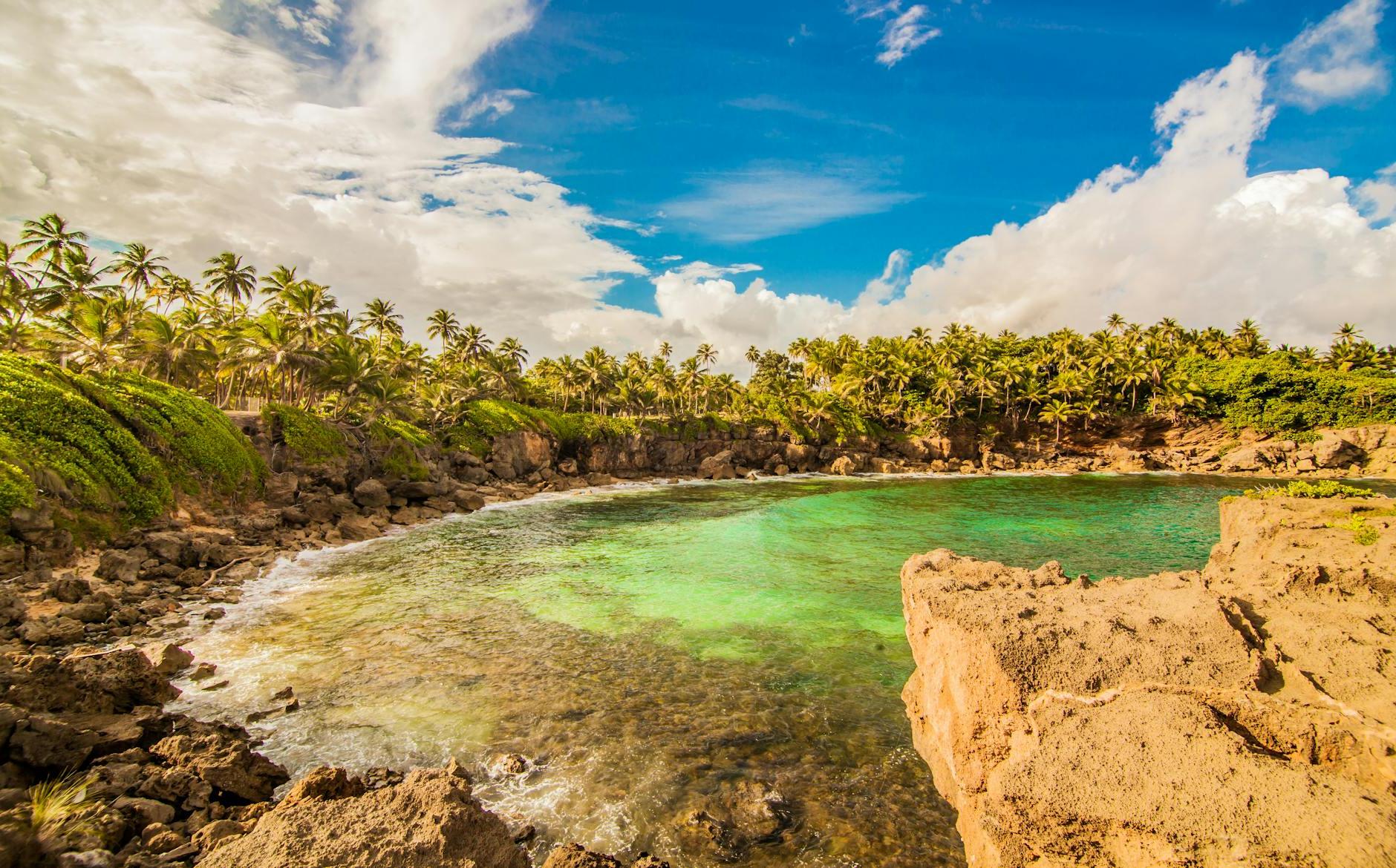 Photo Beach Surrounded by Palm Trees