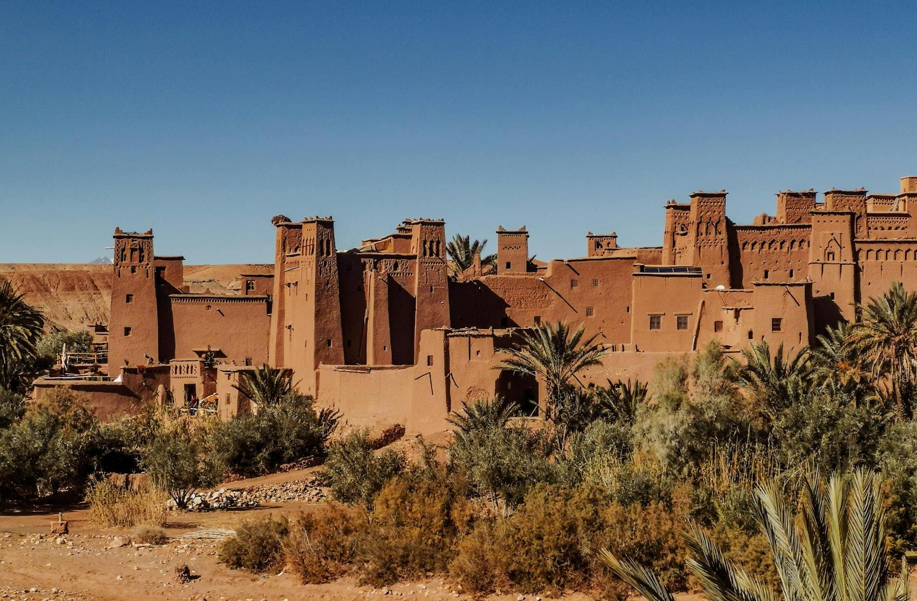 Exterior of old masonry buildings with square shaped windows near dry sandy terrain with growing palm trees and grass under blue sky