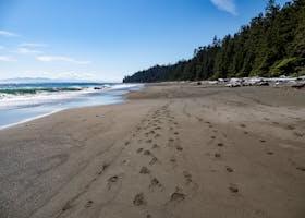 10 Must-See Destinations on Vancouver Island, British Columbia