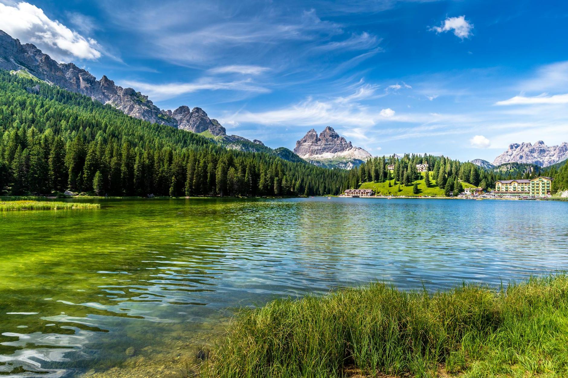 Green Trees Near Lake Under Blue Sky