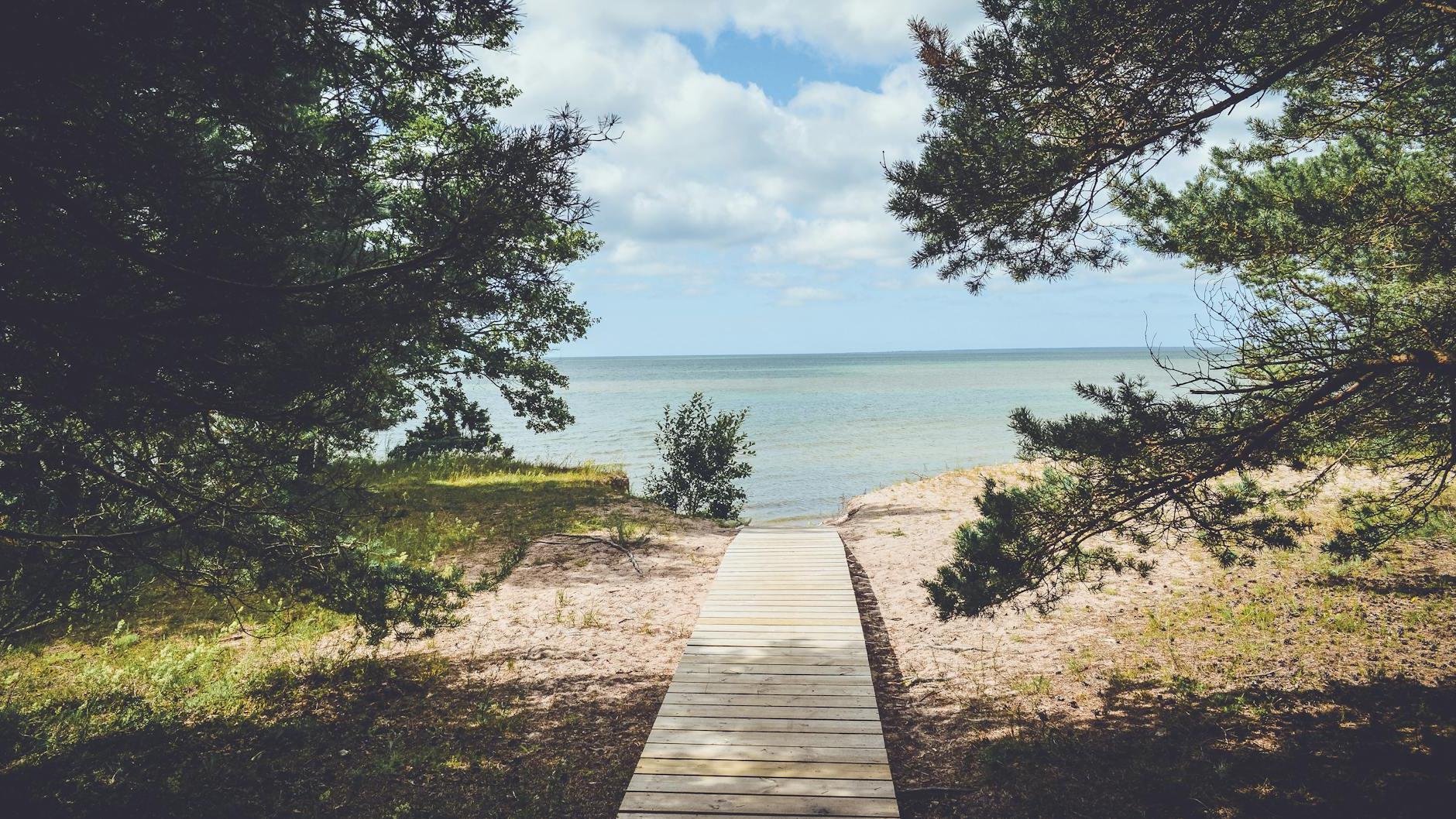 Path Leading to Sea