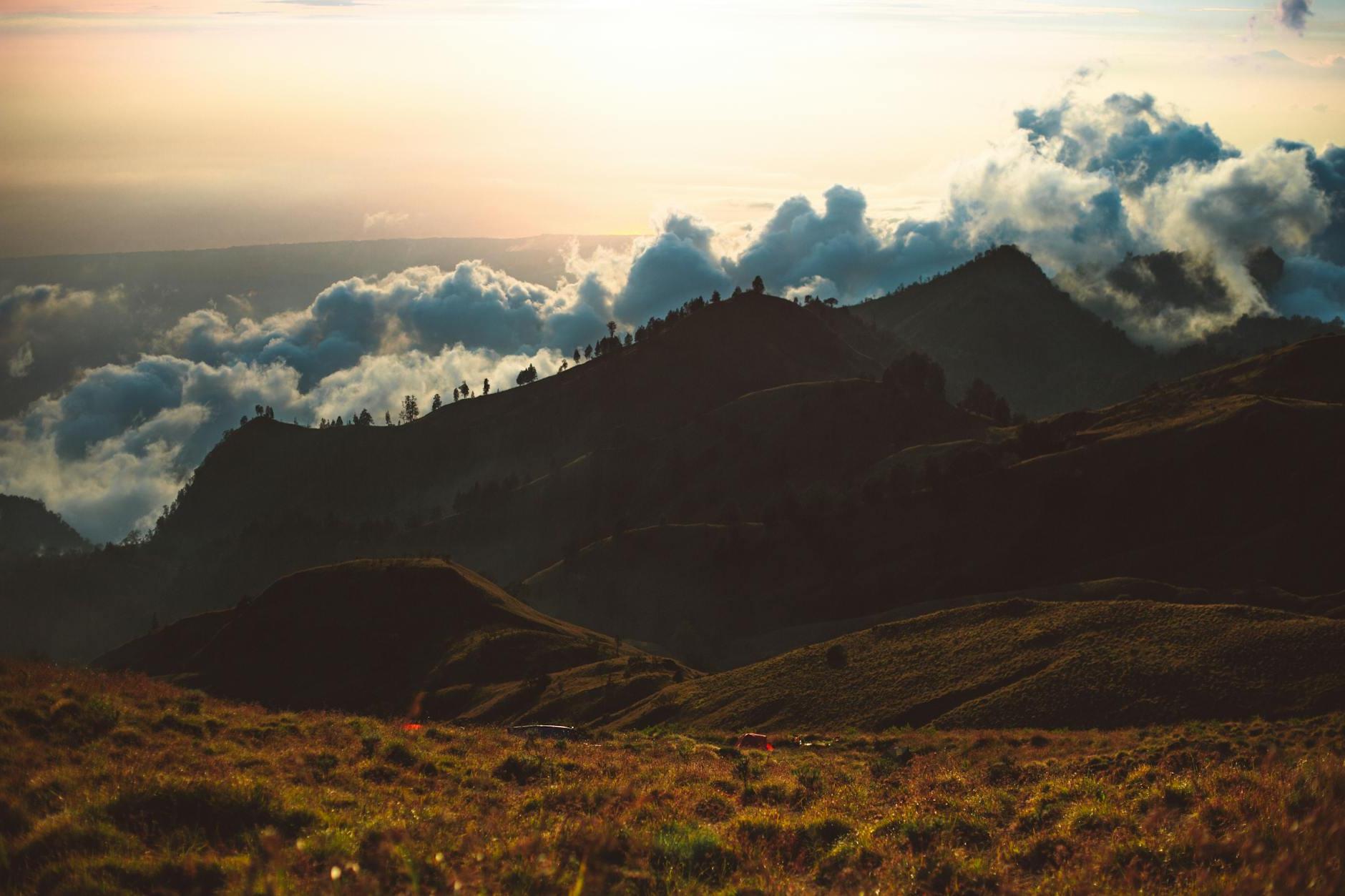 Spectacular view of rough mountainous terrain with green grass and trees covered with clouds during wonderful sunset