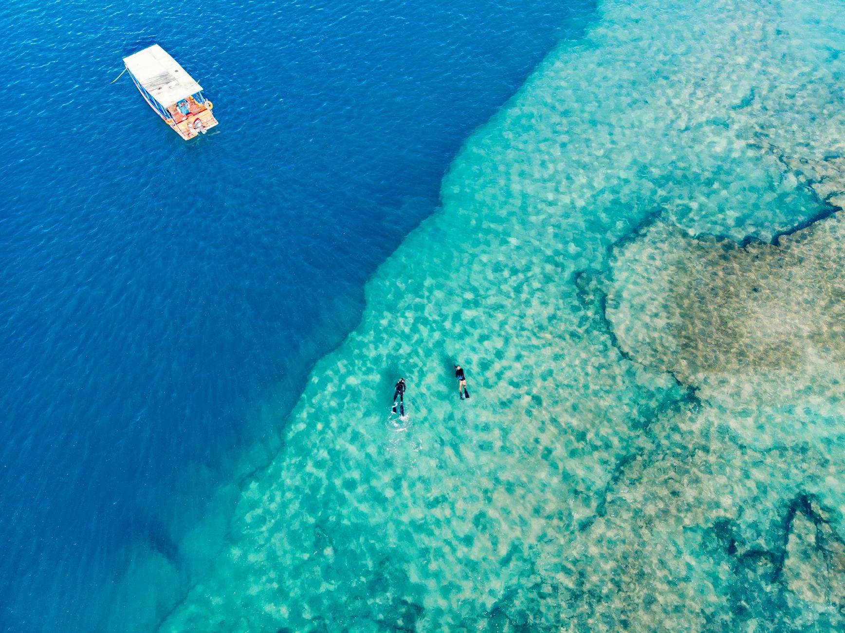 Top View Photo of Person Swimming on Sea