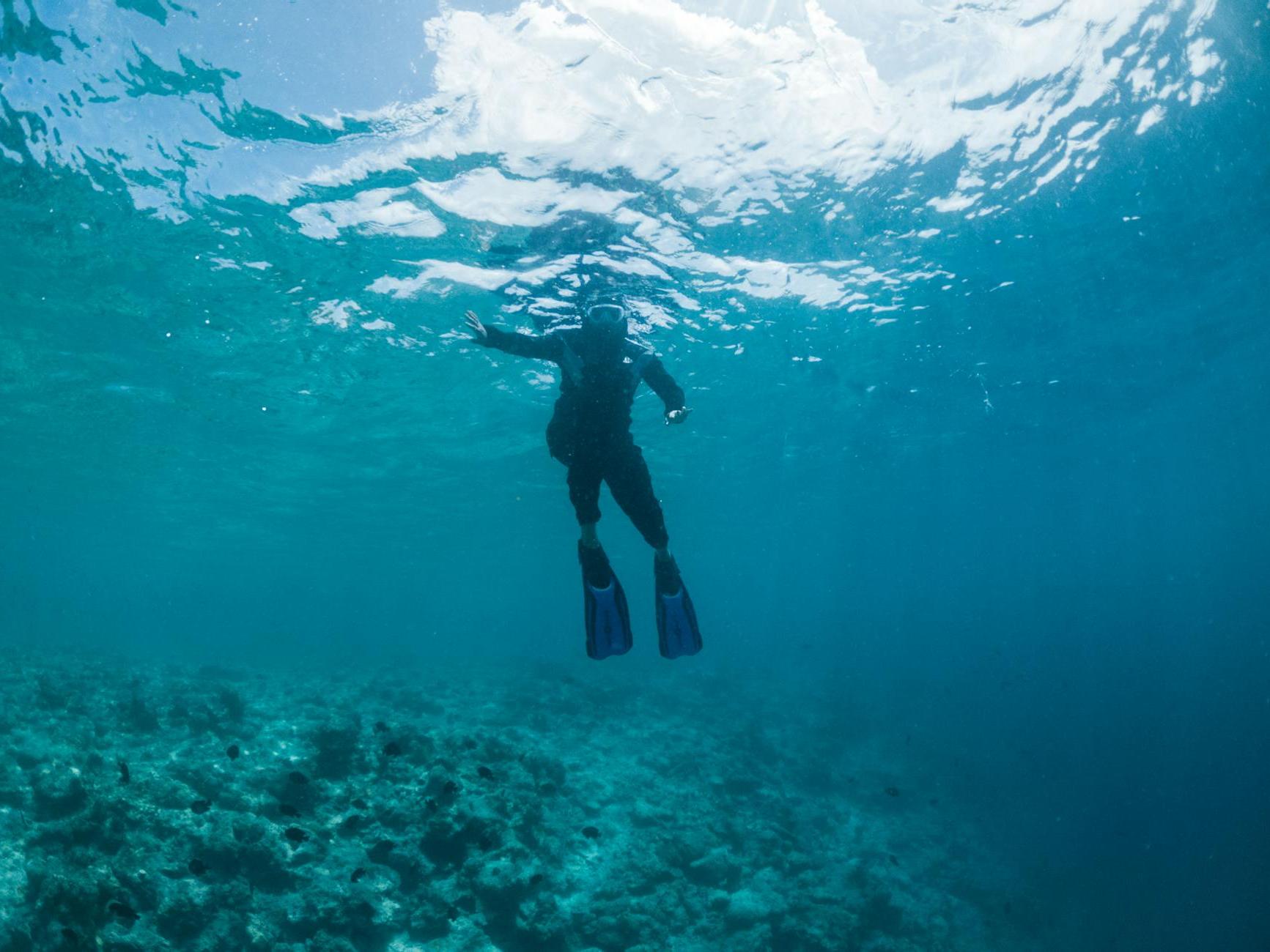 Full length anonymous person in snorkeling mask and flippers swimming in blue seawater near reefs