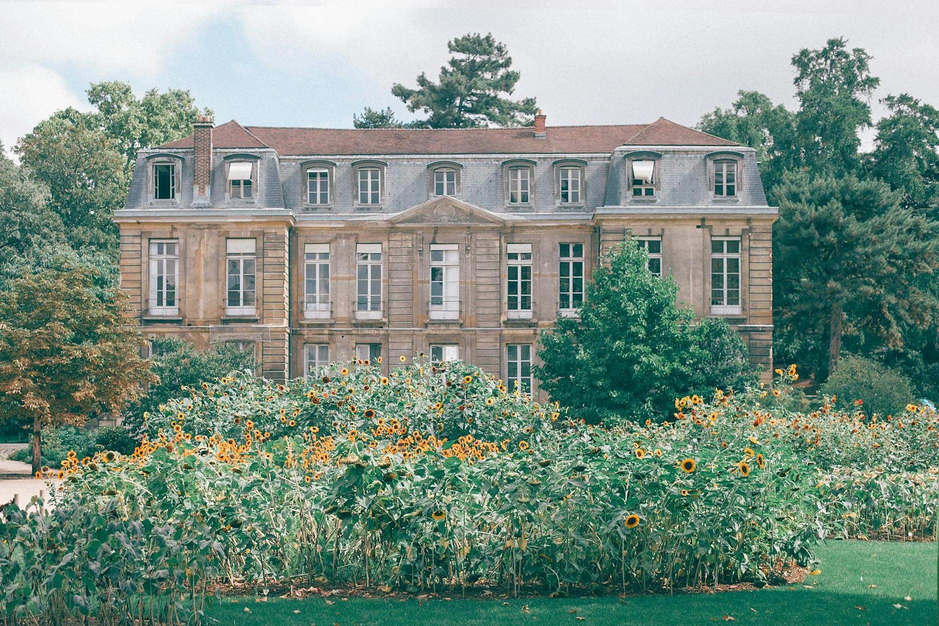 Exterior of classy stone mansion with high windows located in green garden with high trees and sunflower plants on cloudy day