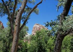 Top 10 Must-See Spots in Zion National Park