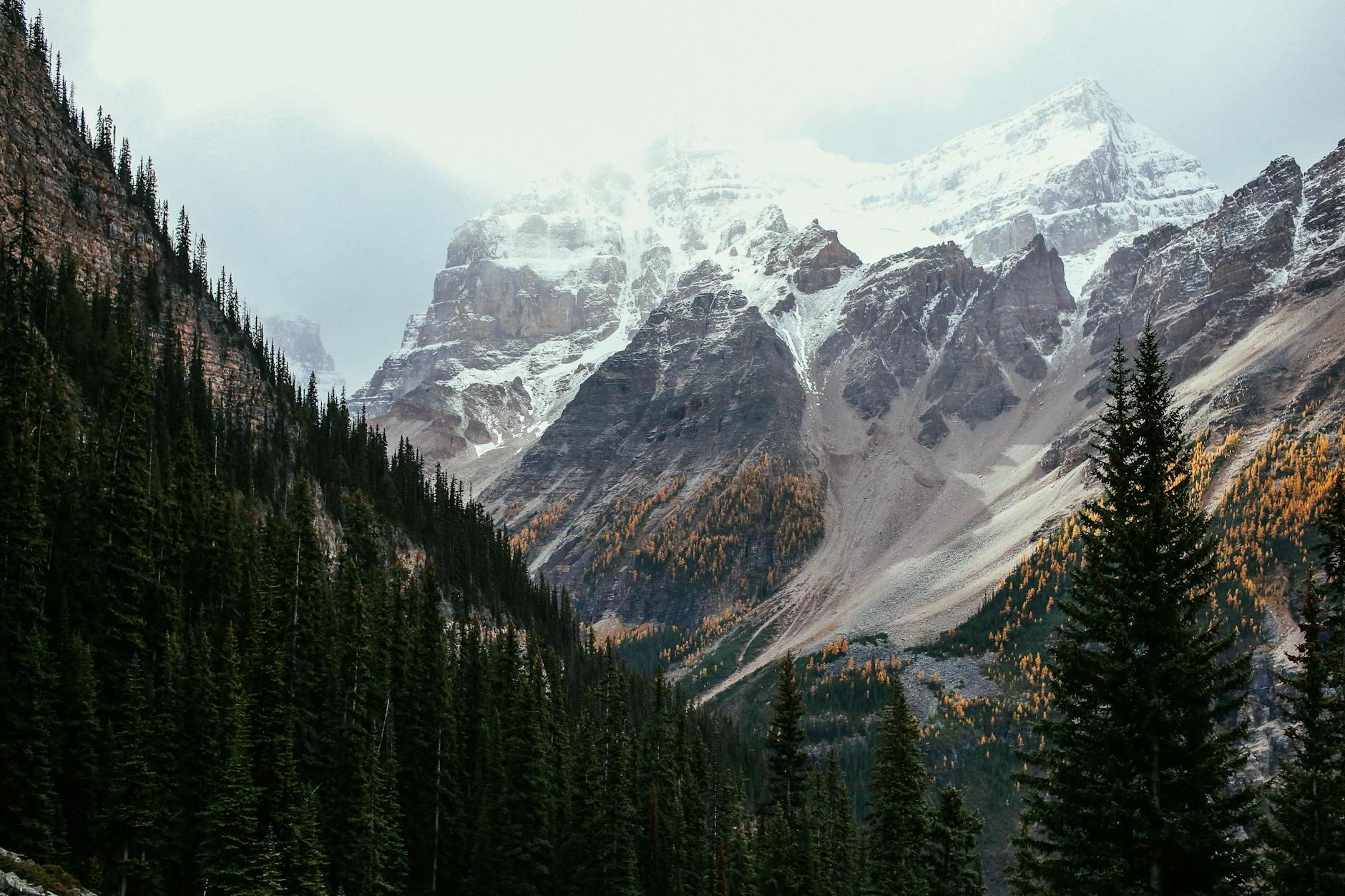 Picturesque scenery of mountain range with snowy tops located among coniferous forest in highland