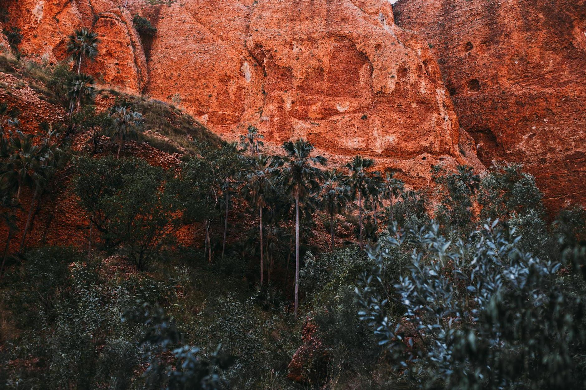 Rocky formations near green trees