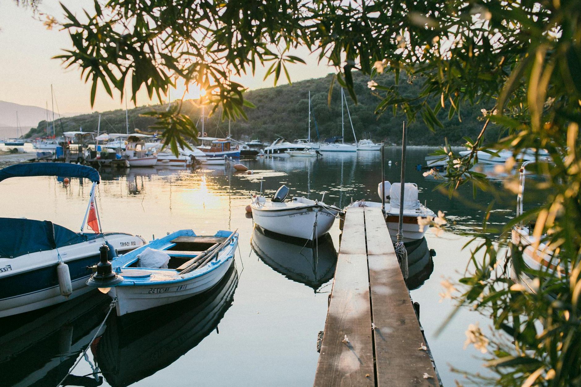 Tranquil bay water with white moored boats in sunset light surrounded with greenery